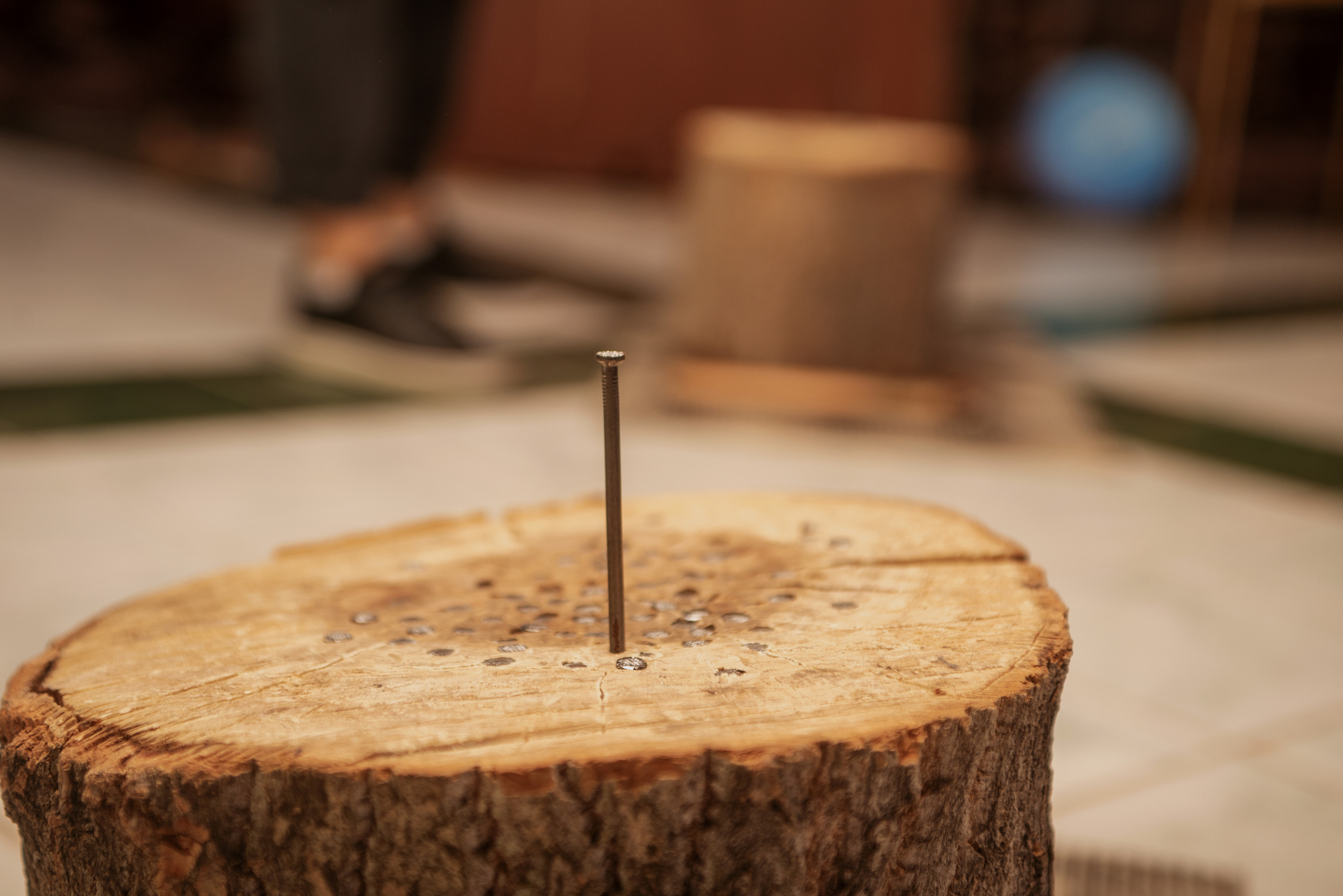 ФордБоярд. Фотограф Ульяновск Ксения Холматова