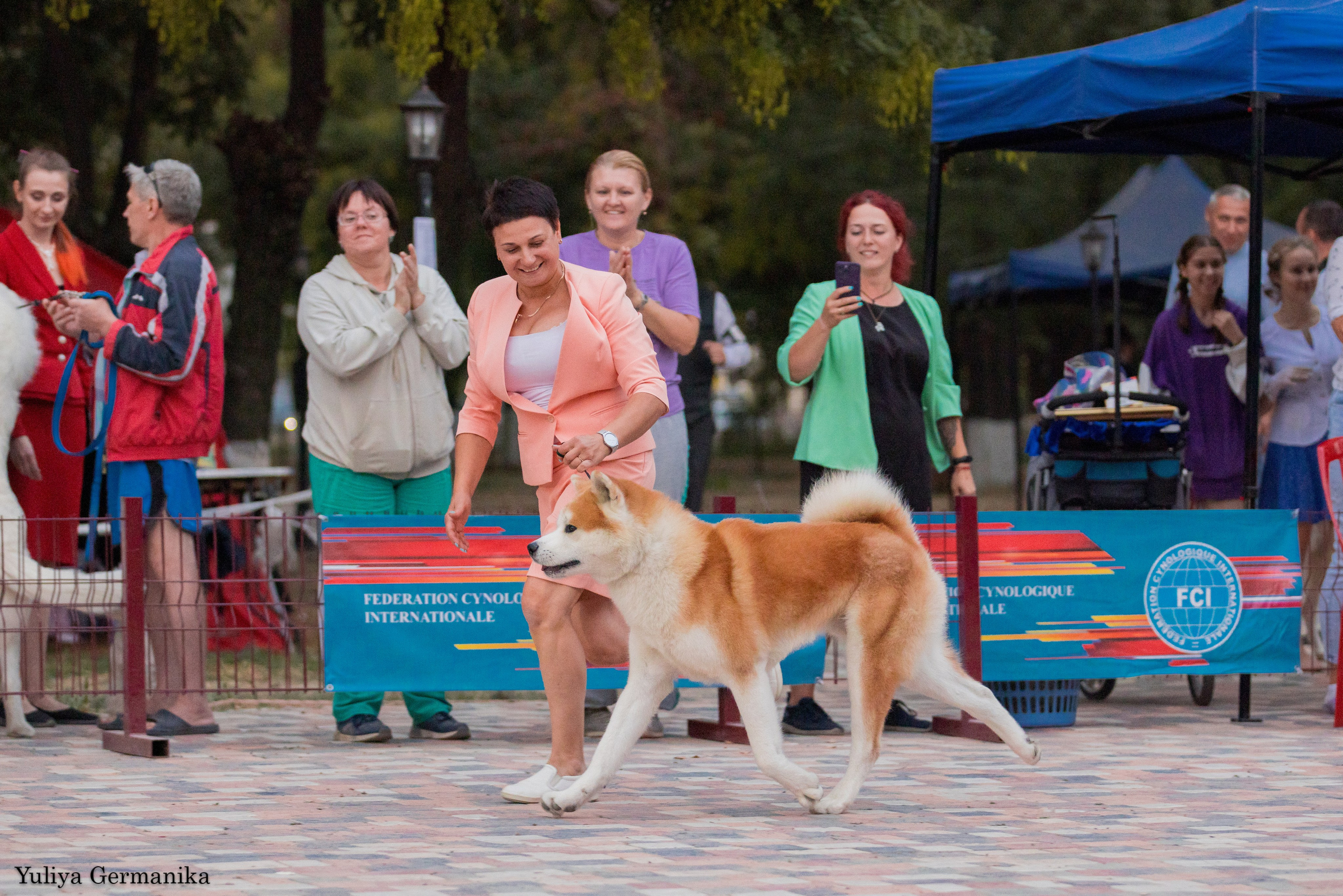 Ташкент 6-8.10.2023 + Алматы 14-15.10.2023. Фотограф-анималист Юлия Германика