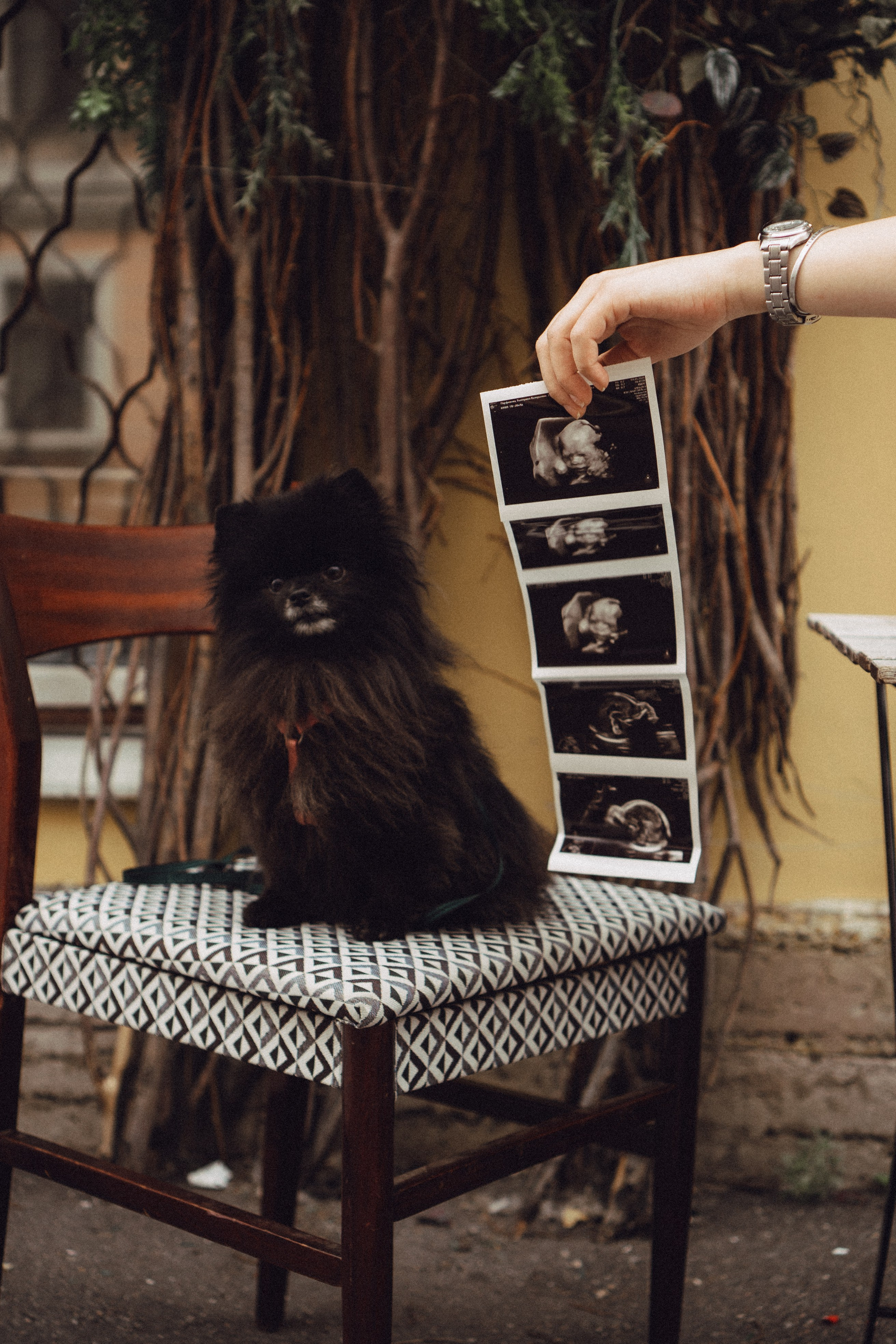 Беременность (только часть фото по желанию клиентов могу показать)). Профессиональный фотограф, Санкт-Петербург — Виктория Богомолова