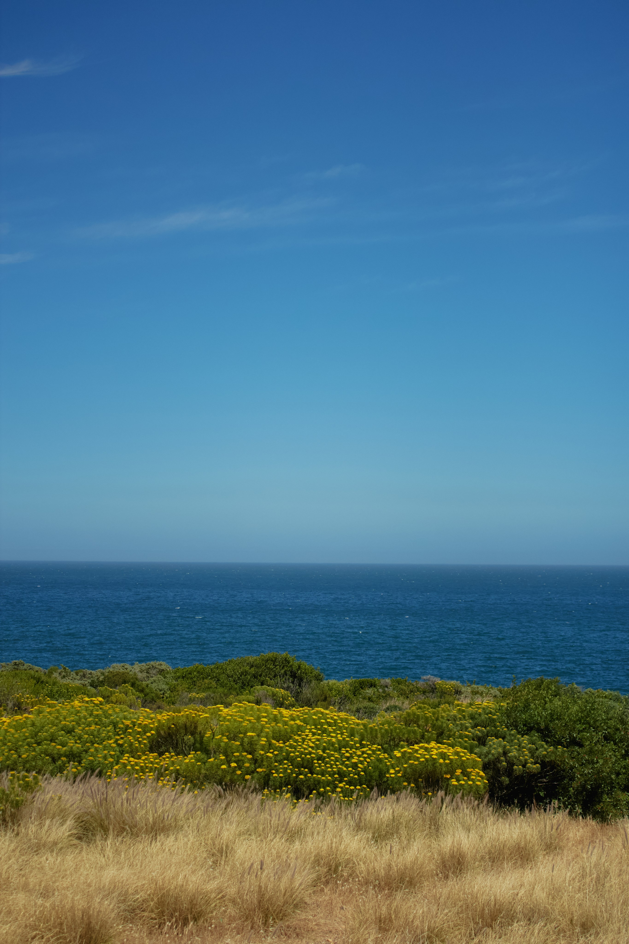 ЮАР. Профессиональный Фотограф во Владимире, в Москве и в Суздале — Полина Романычева