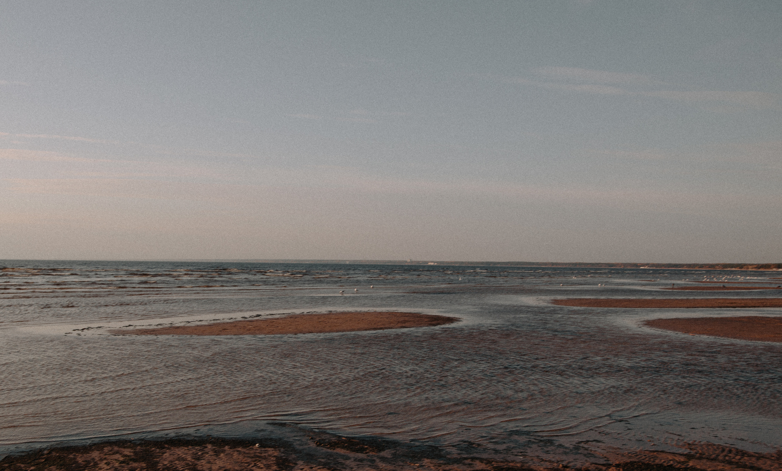 Wedding day Мария & Дима. Свадебный фотограф Таня Караисаева