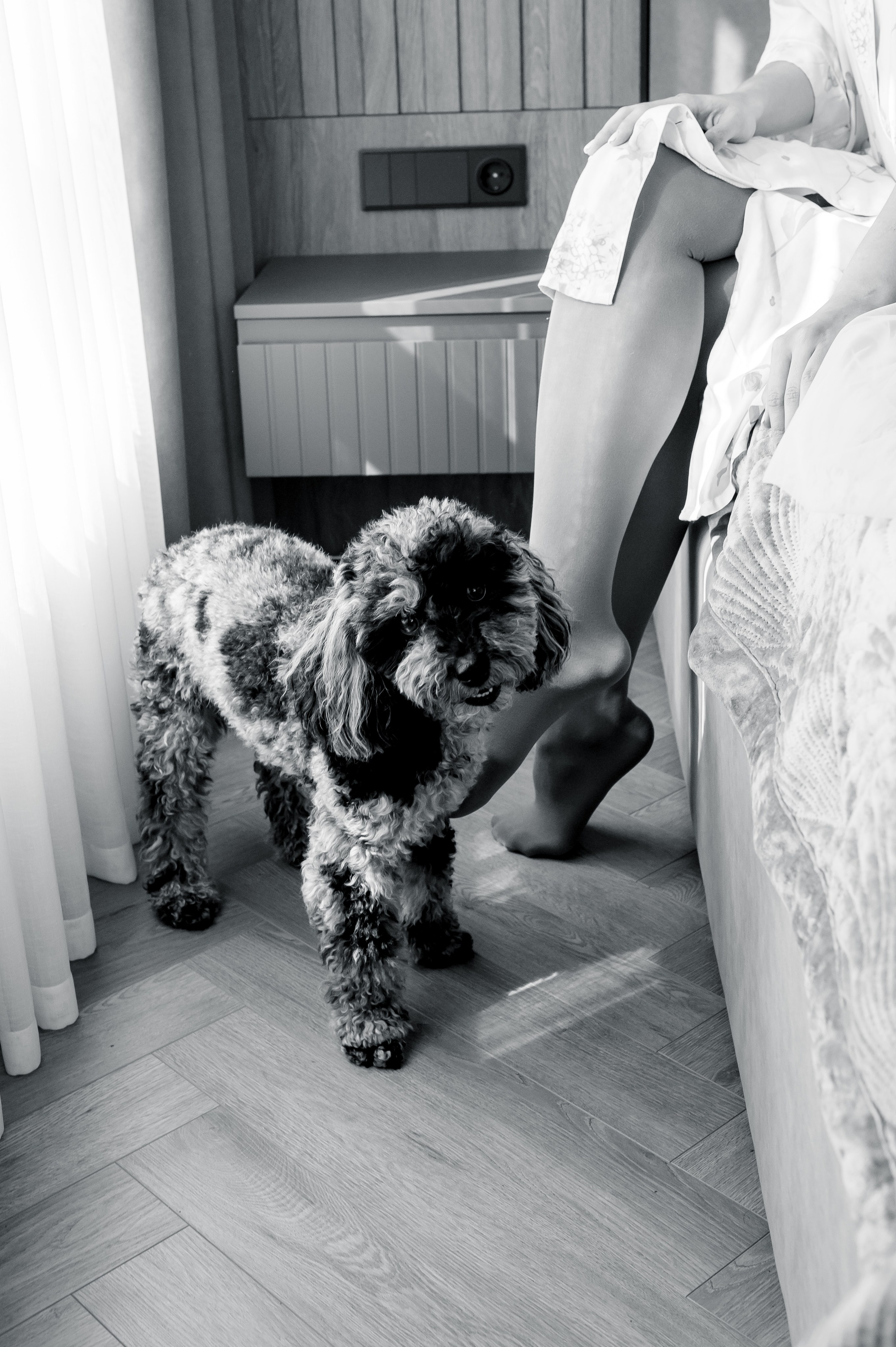 Свадьба Алекасндры и Александра. Свадебный и семейный фотограф в Ставрополе Роман Иванов