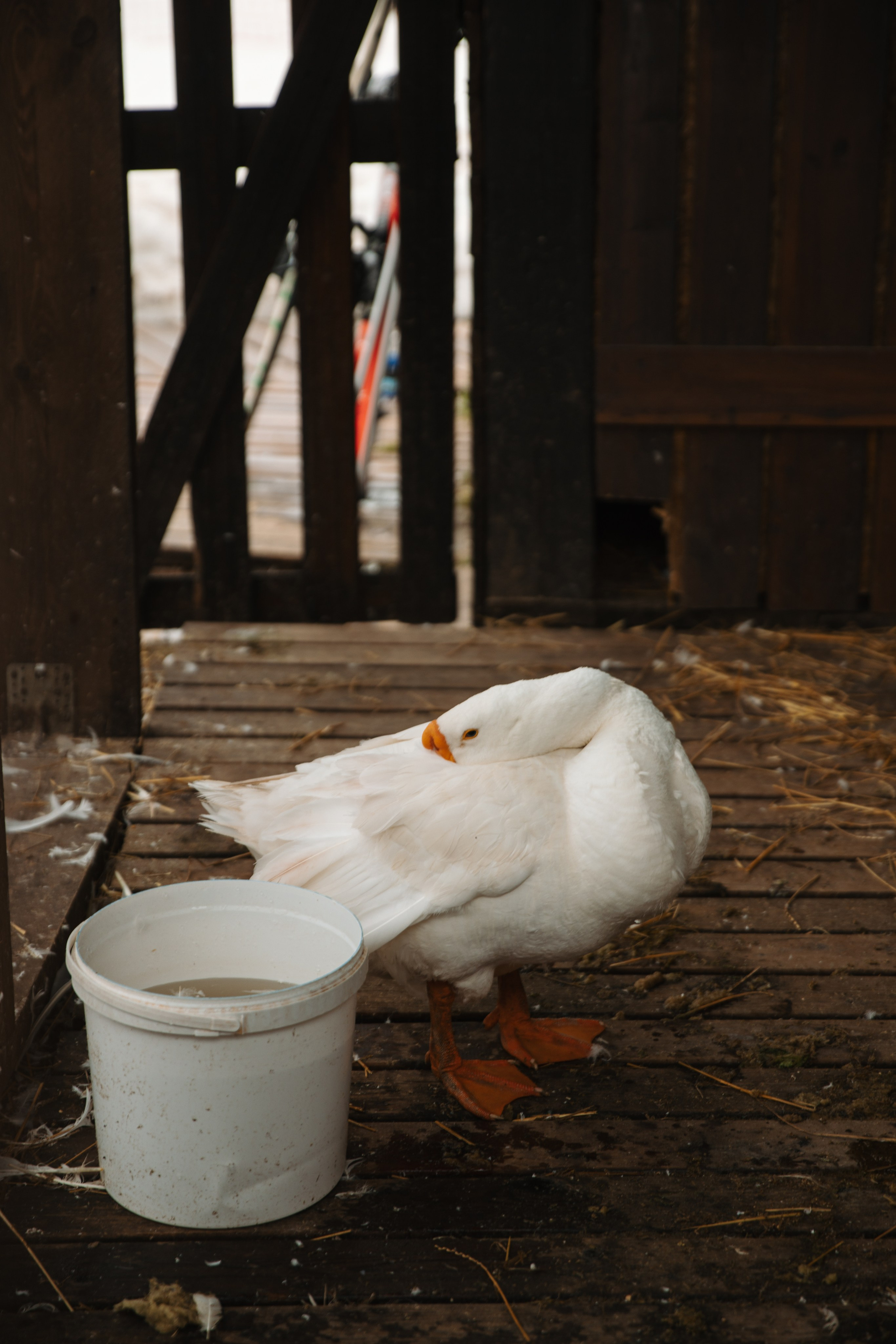 Helen. Фотограф на Юге России