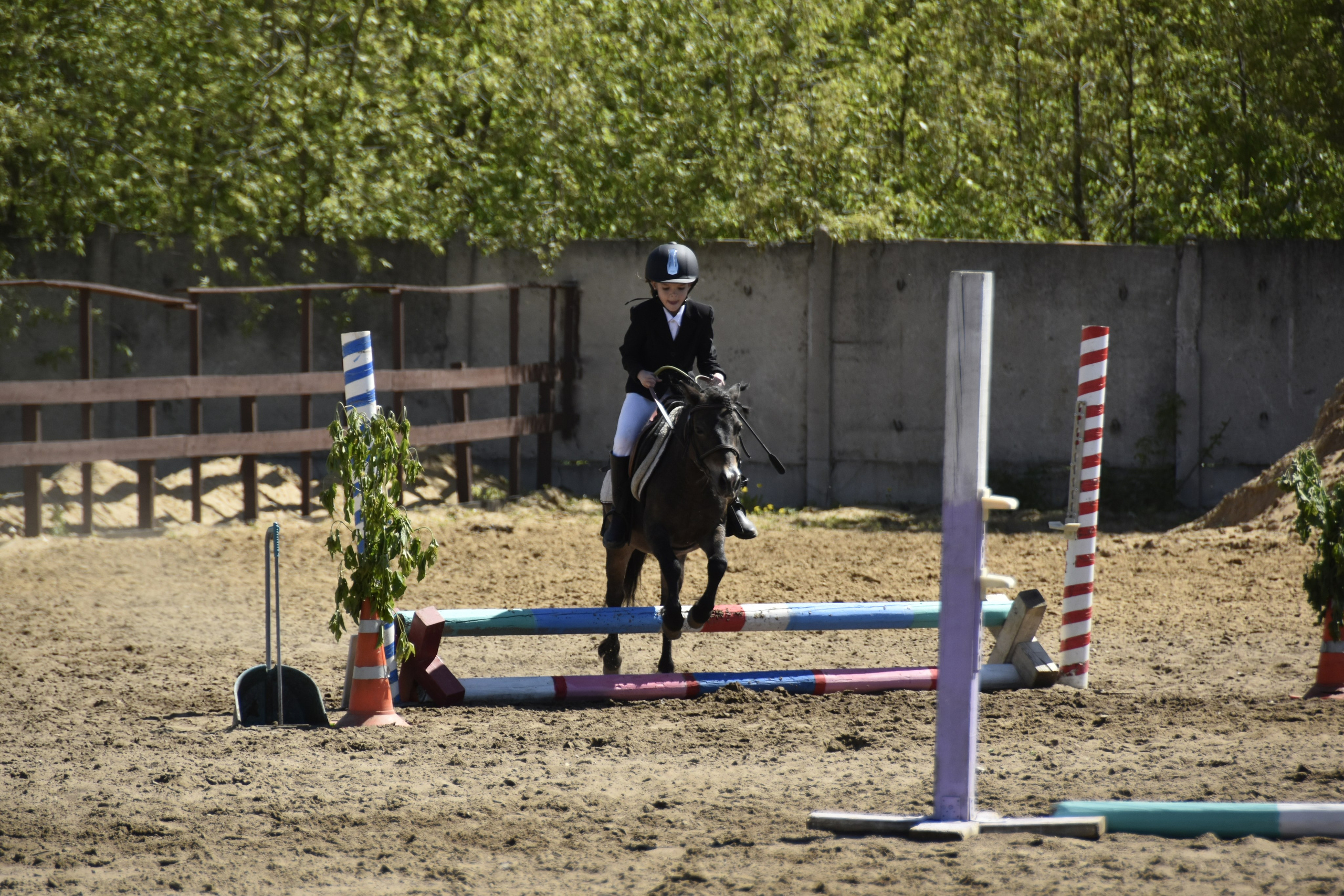 Соревнования по конкуру. КСК «Галактика». Конный фотограф Москва