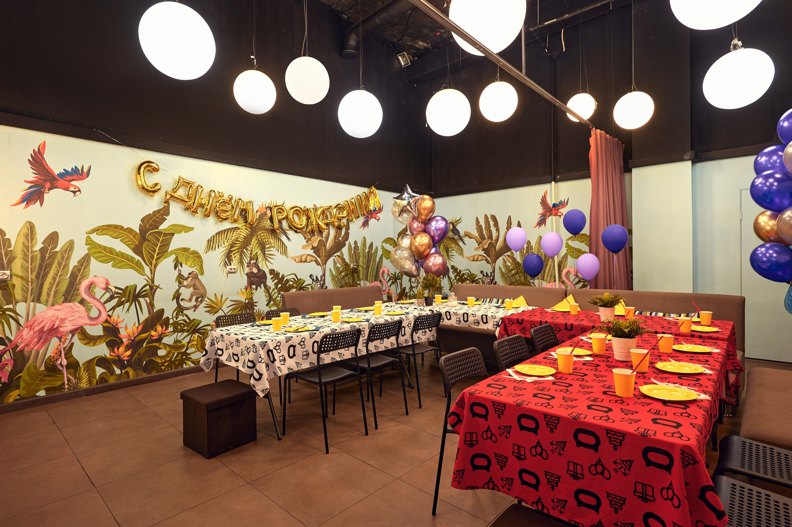 Чеширский Коd — 5 локаций. Фотограф Яковлев Роман — Красноярск