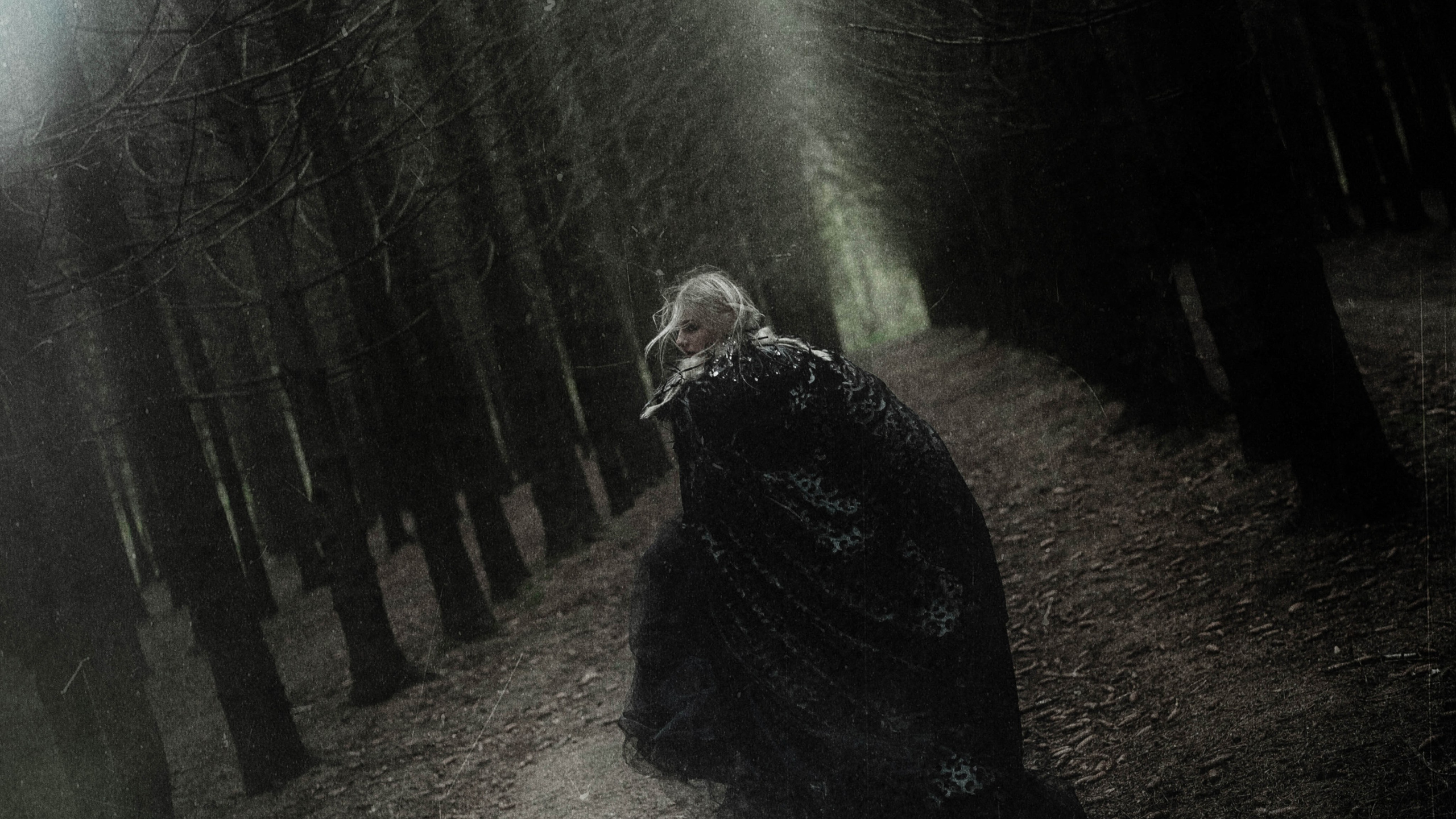 DARK FOREST. Фотограф Julia Nova