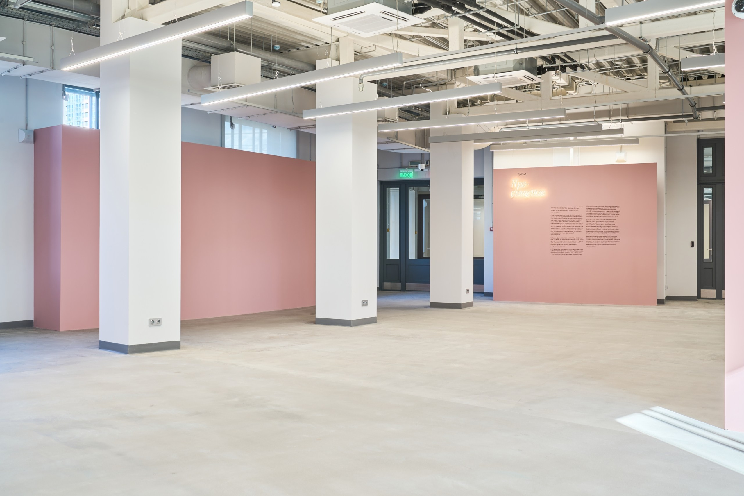 Открытие филиала Третьяковской Галереи. Фотограф Евгений Шаров