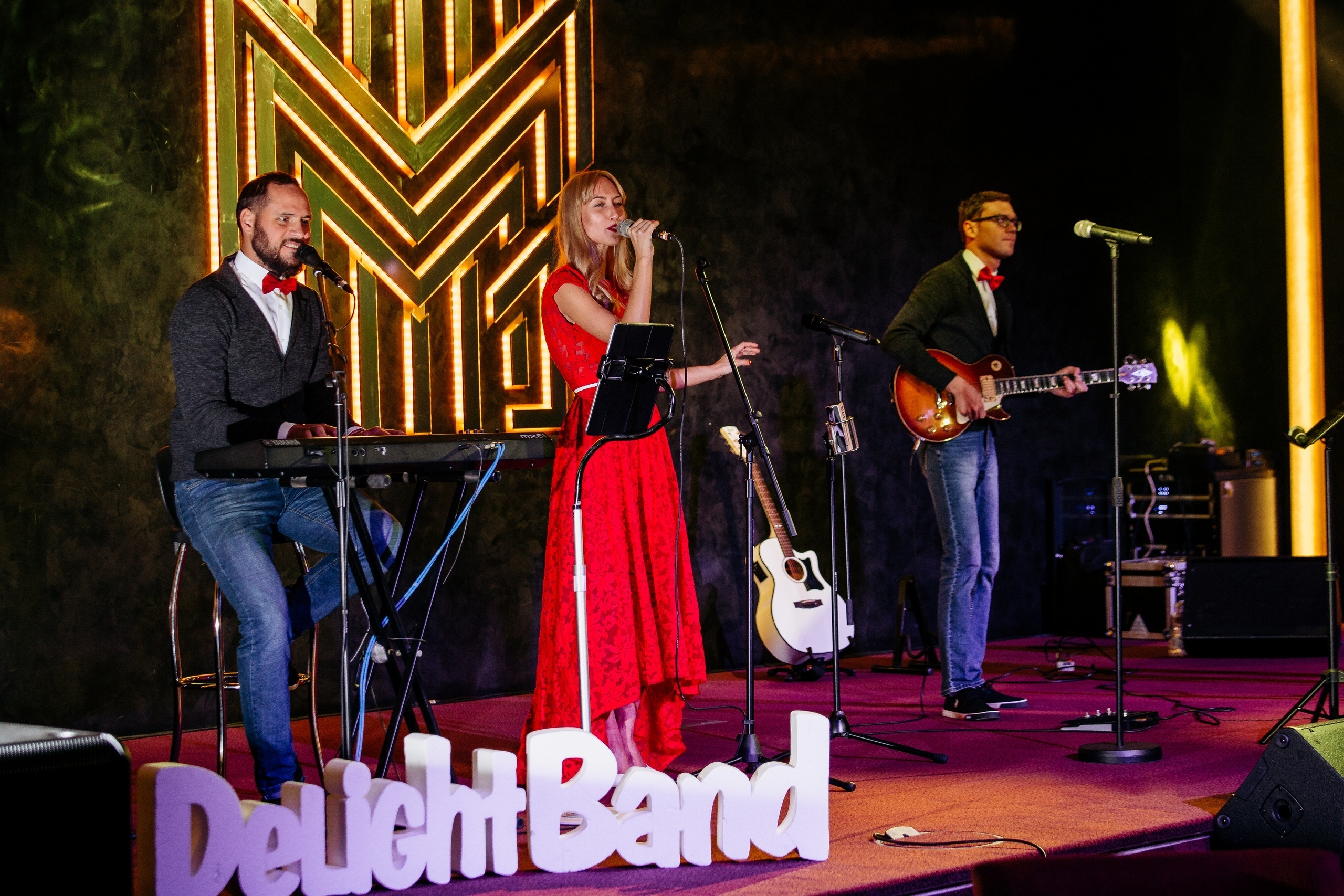 Фотосессия концерта Сосо Павлиашвили. Свадебный фотограф в Витебске Дмитрий Кувшинов