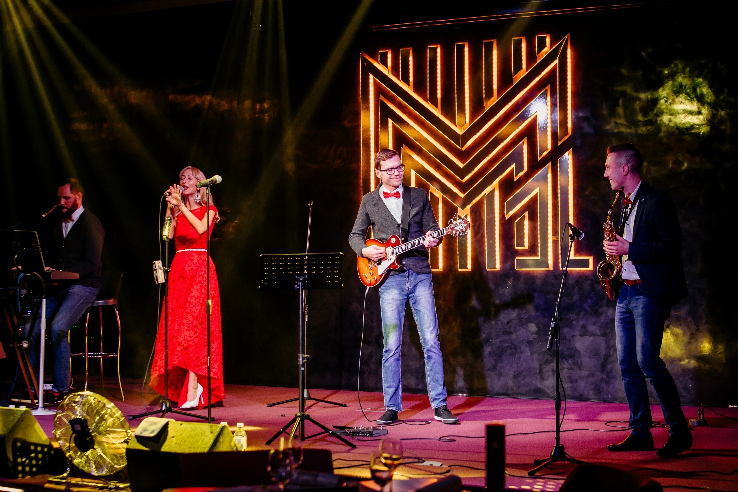 Фотосессия концерта Сосо Павлиашвили. Свадебный фотограф в Витебске Дмитрий Кувшинов