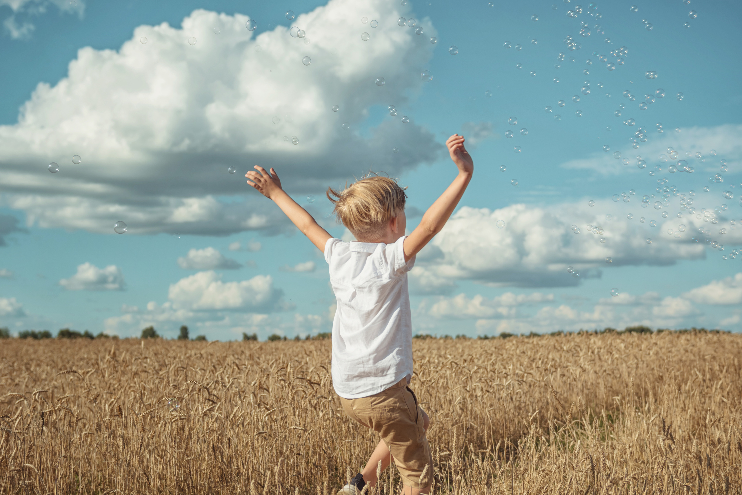 Анна и Александр. Семейная фотосессия в поле. Портретный фотограф в Санкт-Петербурге Дмитриева Наталия