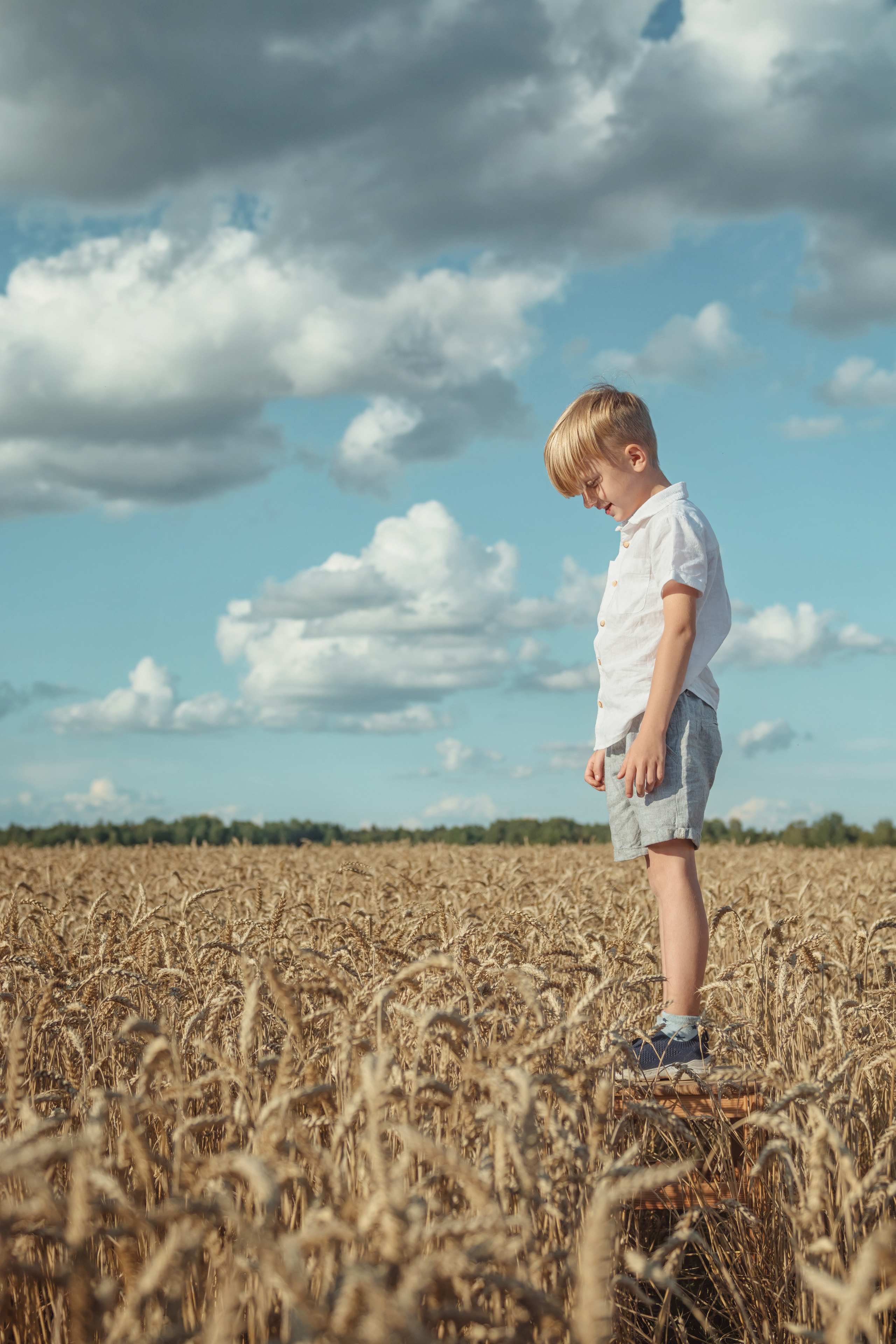 Анна и Александр. Семейная фотосессия в поле. Портретный фотограф в Санкт-Петербурге Дмитриева Наталия