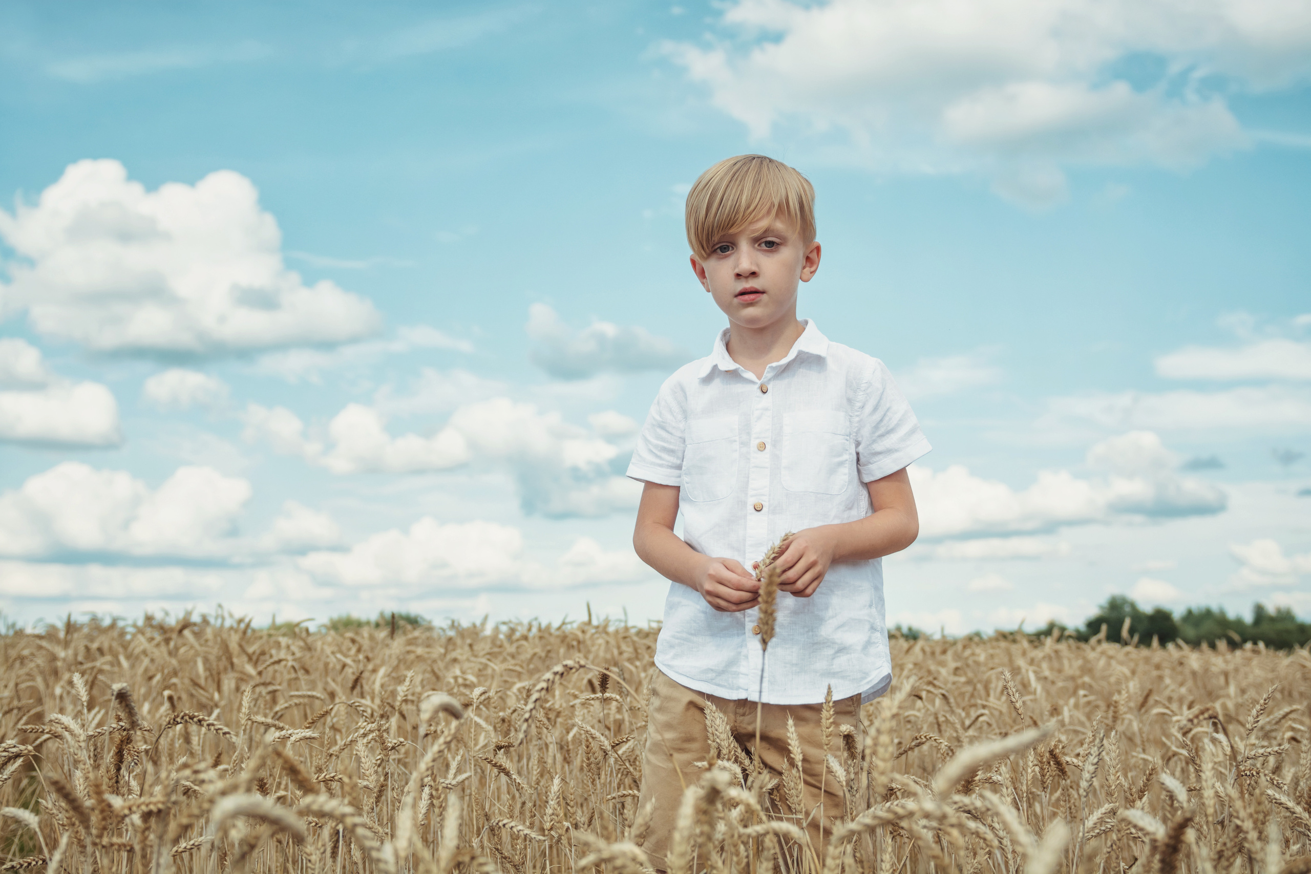Анна и Александр. Семейная фотосессия в поле. Портретный фотограф в Санкт-Петербурге Дмитриева Наталия