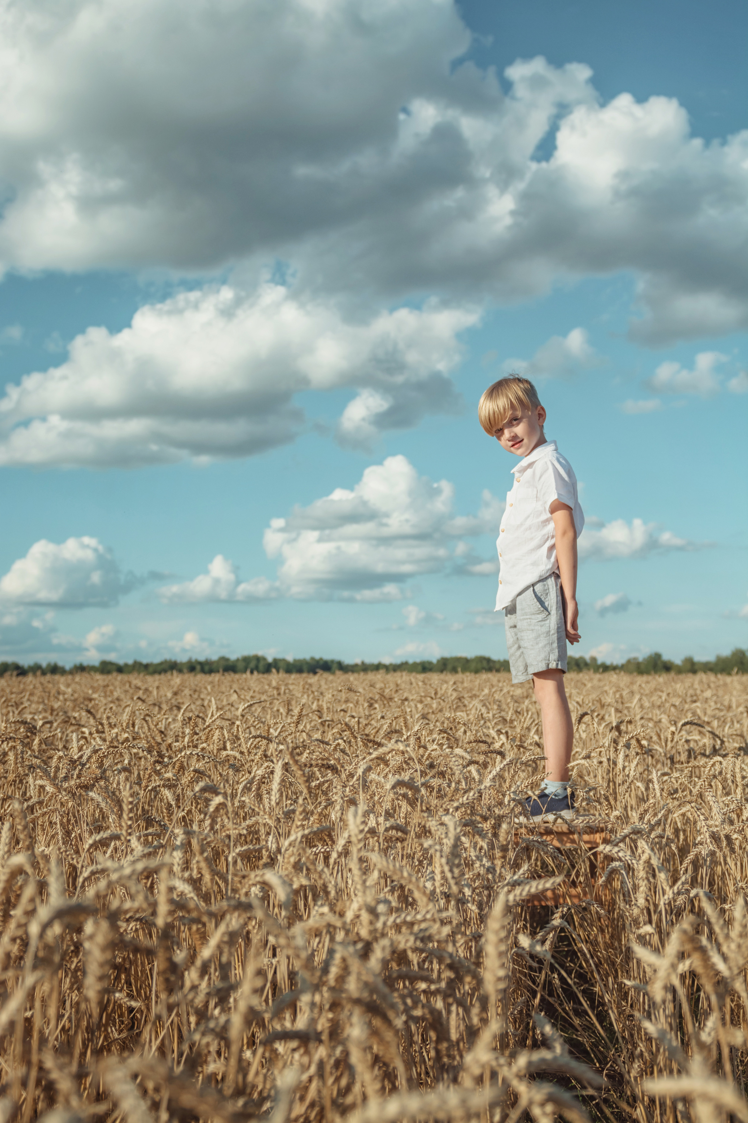 Анна и Александр. Семейная фотосессия в поле. Портретный фотограф в Санкт-Петербурге Дмитриева Наталия