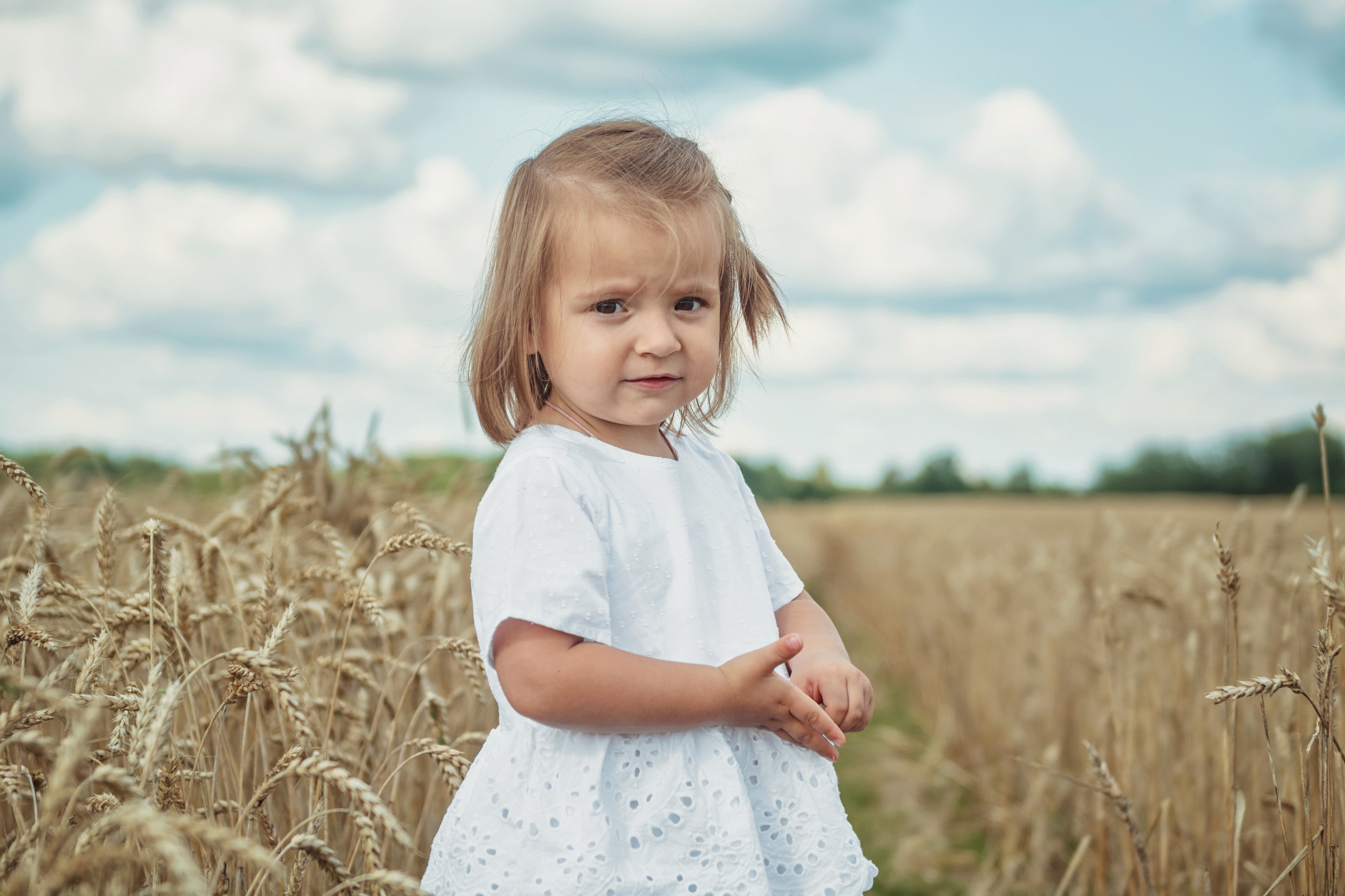 Анна и Александр. Семейная фотосессия в поле. Портретный фотограф в Санкт-Петербурге Дмитриева Наталия