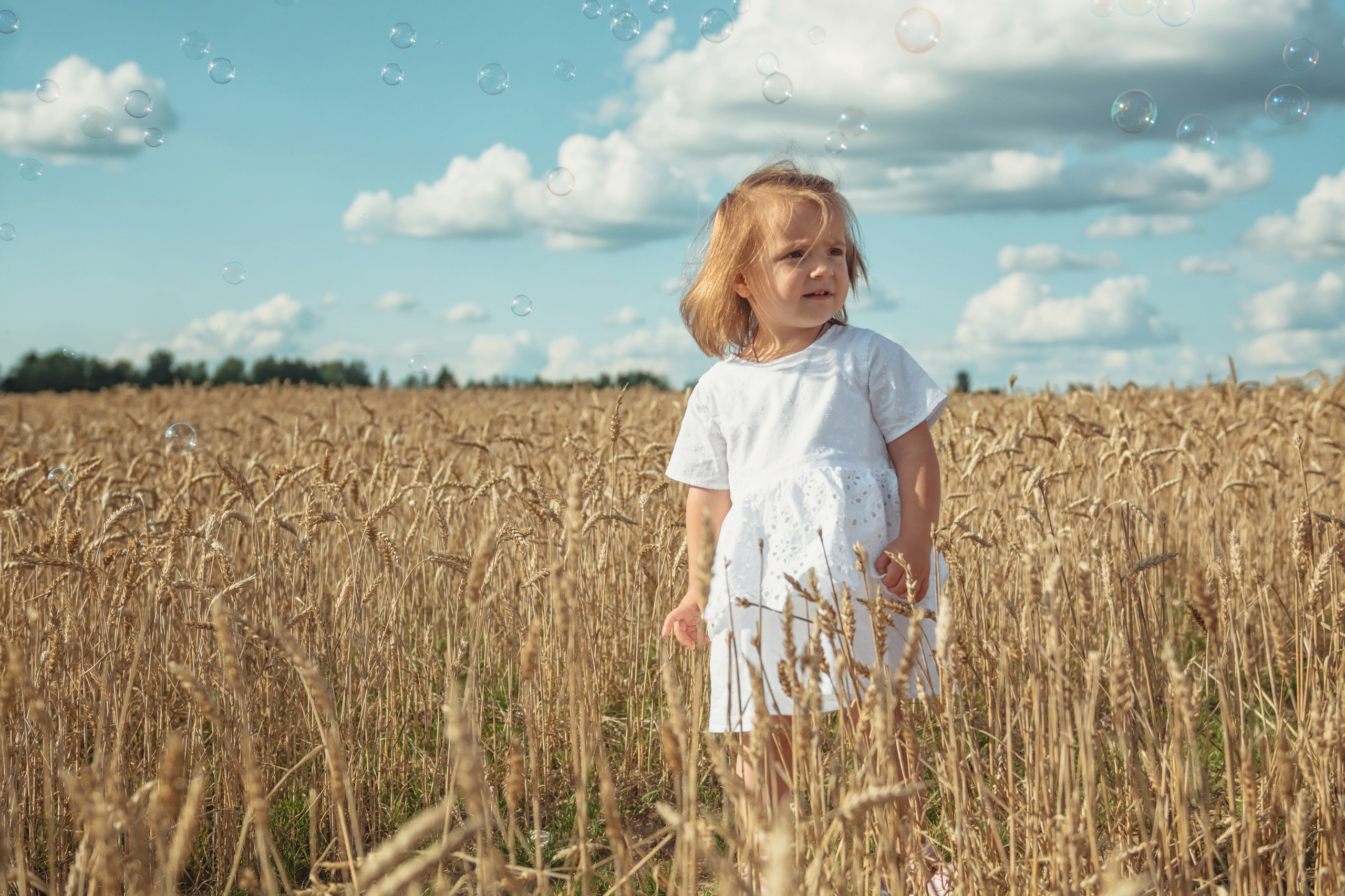 Анна и Александр. Семейная фотосессия в поле. Портретный фотограф в Санкт-Петербурге Дмитриева Наталия