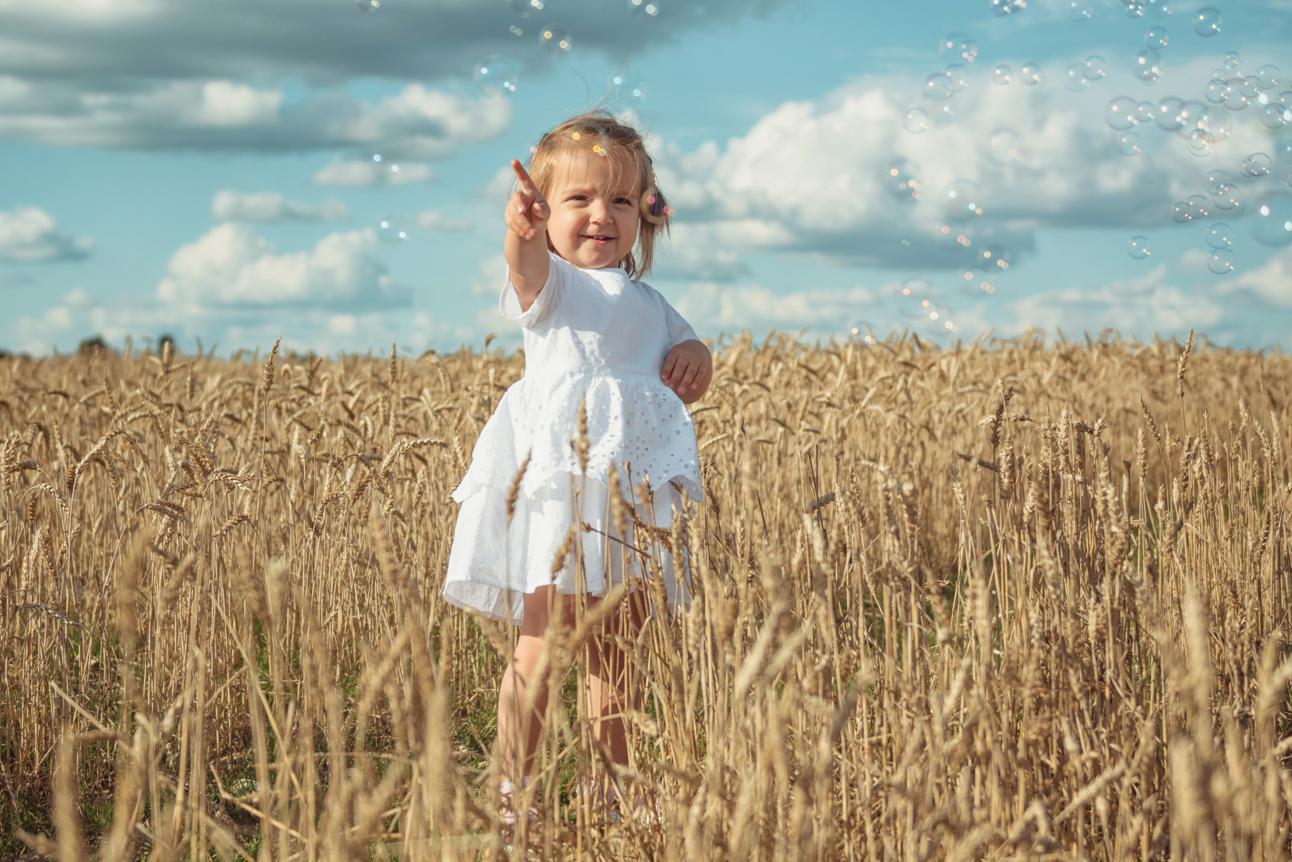 Анна и Александр. Семейная фотосессия в поле. Портретный фотограф в Санкт-Петербурге Дмитриева Наталия