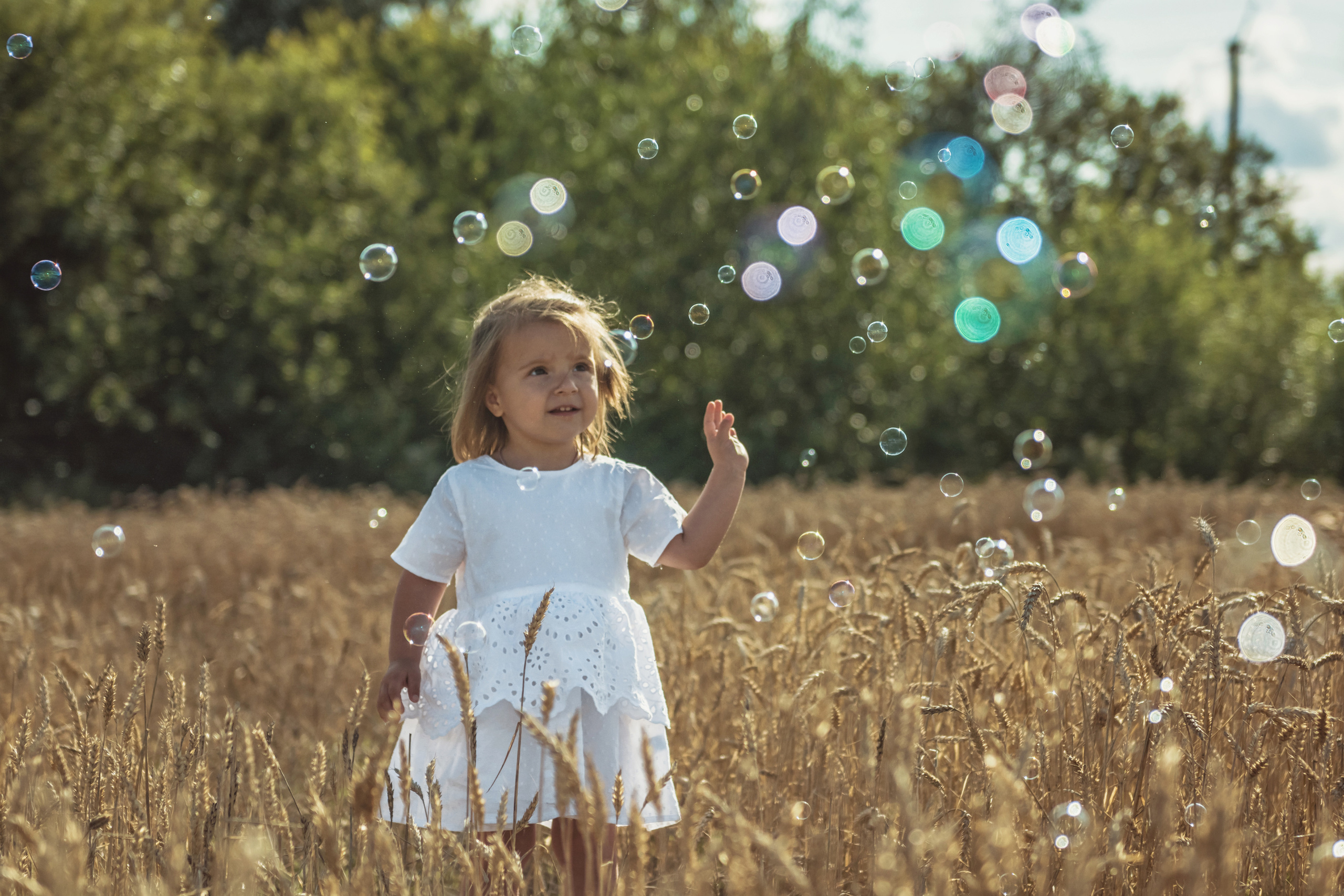 Анна и Александр. Семейная фотосессия в поле. Портретный фотограф в Санкт-Петербурге Дмитриева Наталия