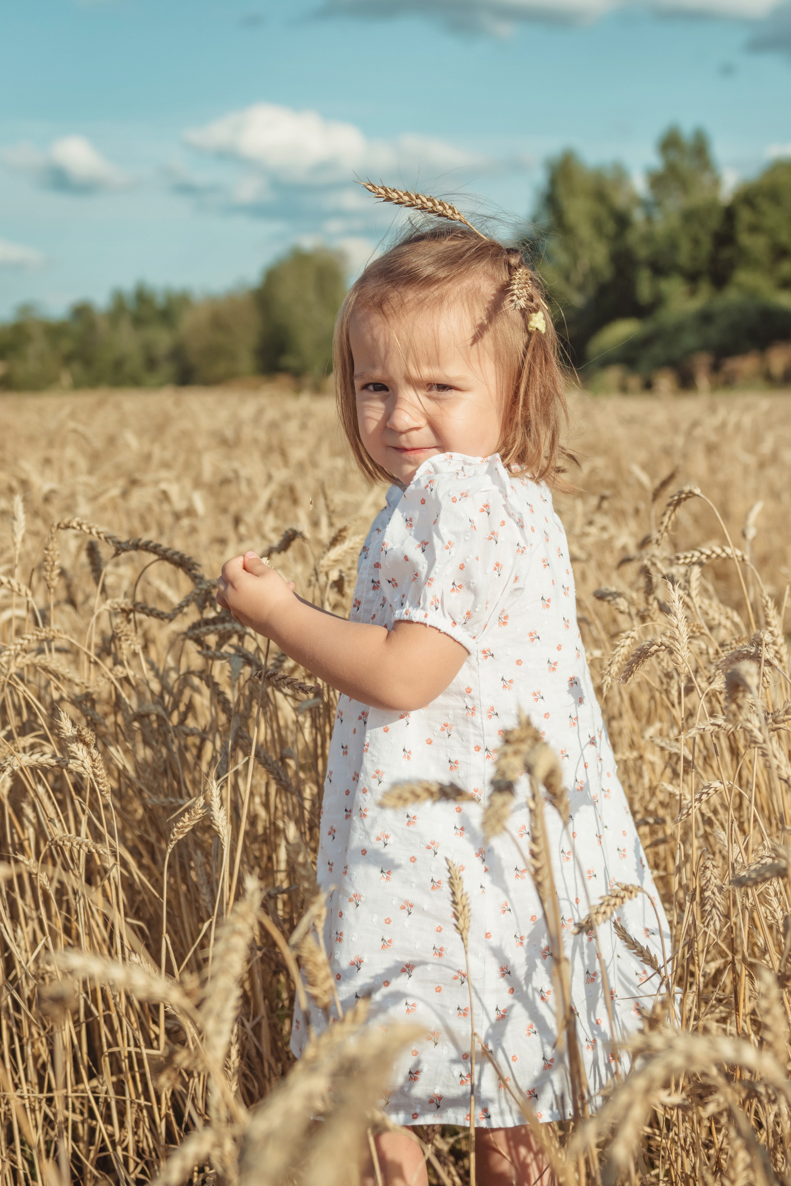 Анна и Александр. Семейная фотосессия в поле. Портретный фотограф в Санкт-Петербурге Дмитриева Наталия