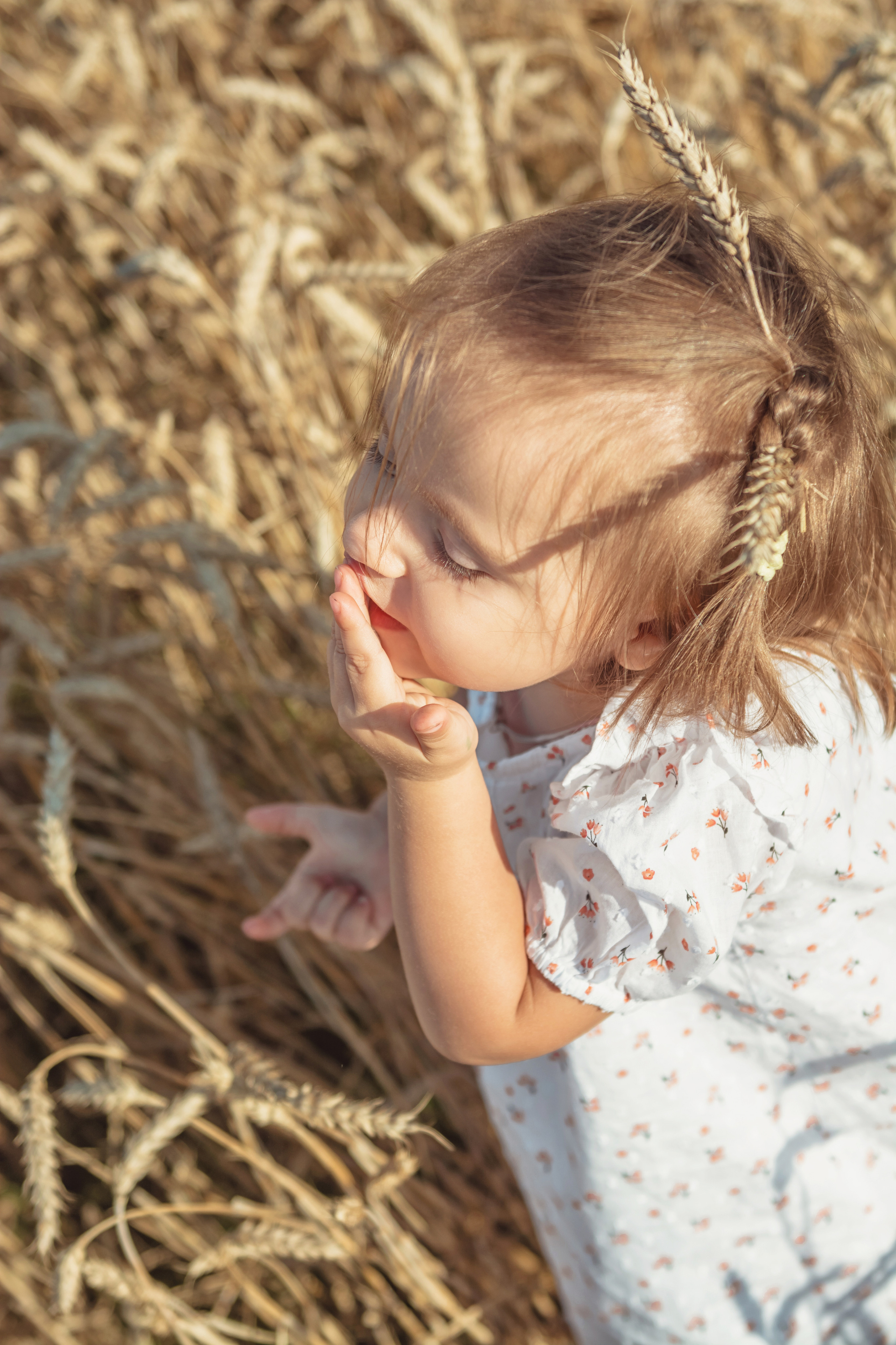 Анна и Александр. Семейная фотосессия в поле. Портретный фотограф в Санкт-Петербурге Дмитриева Наталия