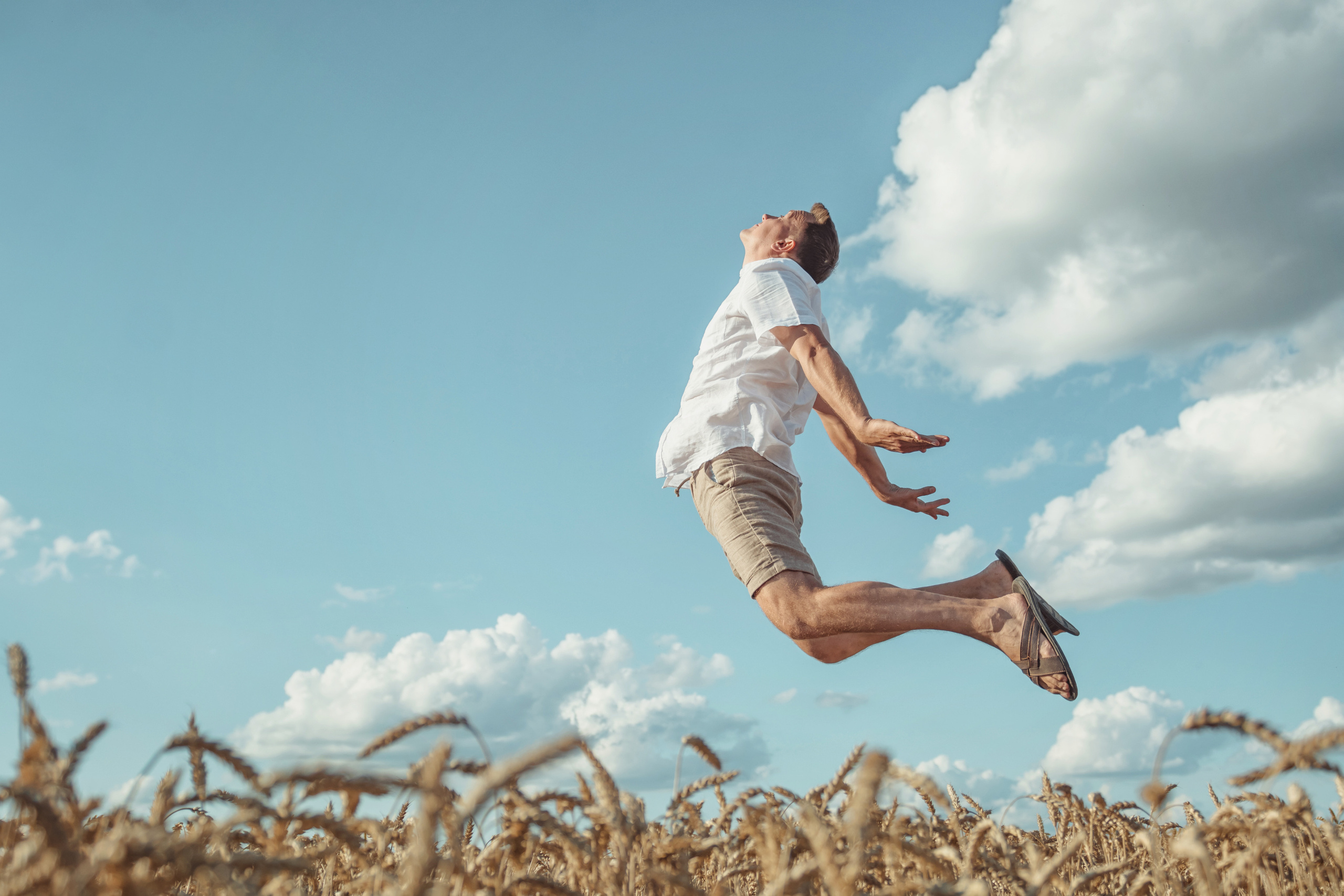 Анна и Александр. Семейная фотосессия в поле. Портретный фотограф в Санкт-Петербурге Дмитриева Наталия