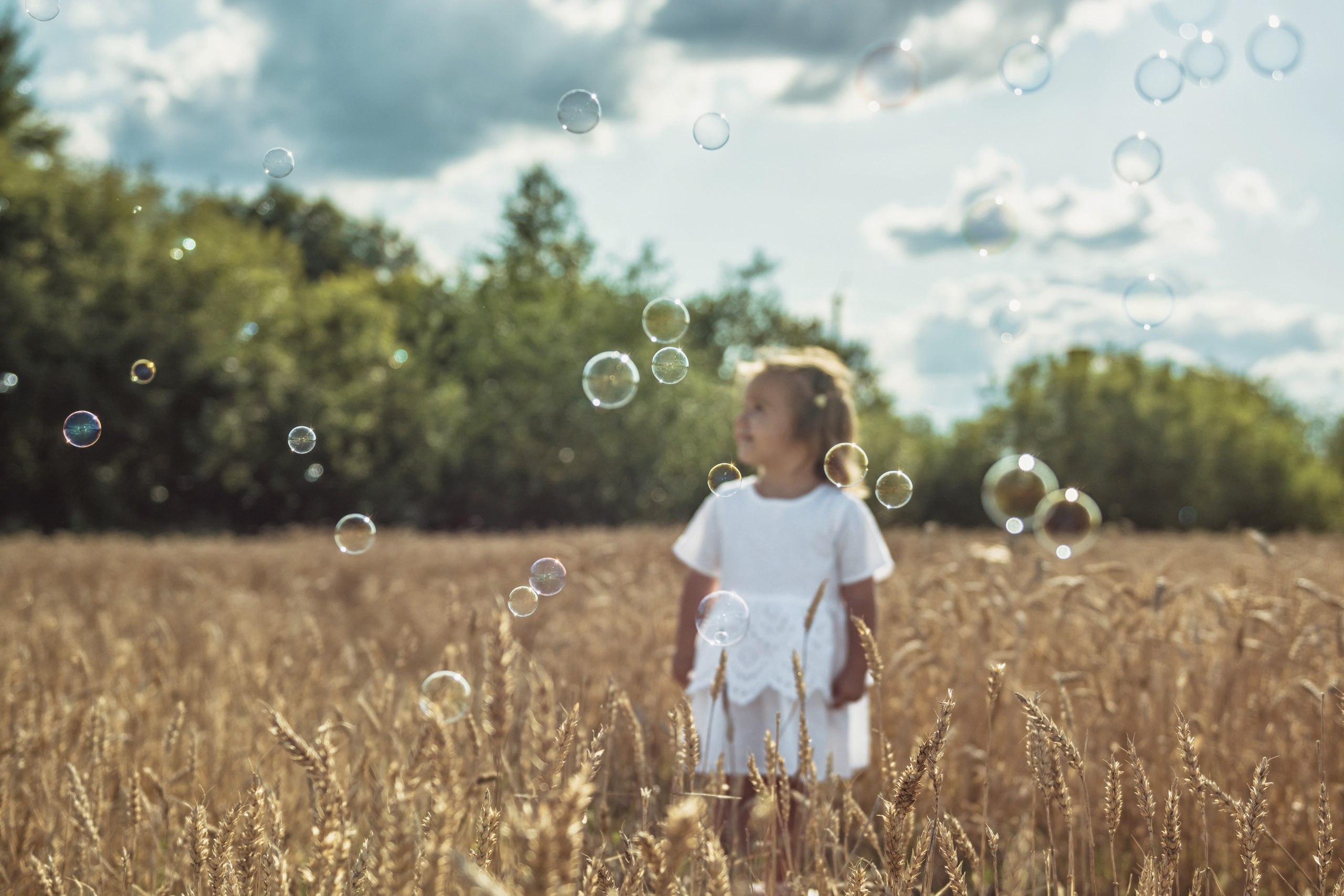 Анна и Александр. Семейная фотосессия в поле. Портретный фотограф в Санкт-Петербурге Дмитриева Наталия