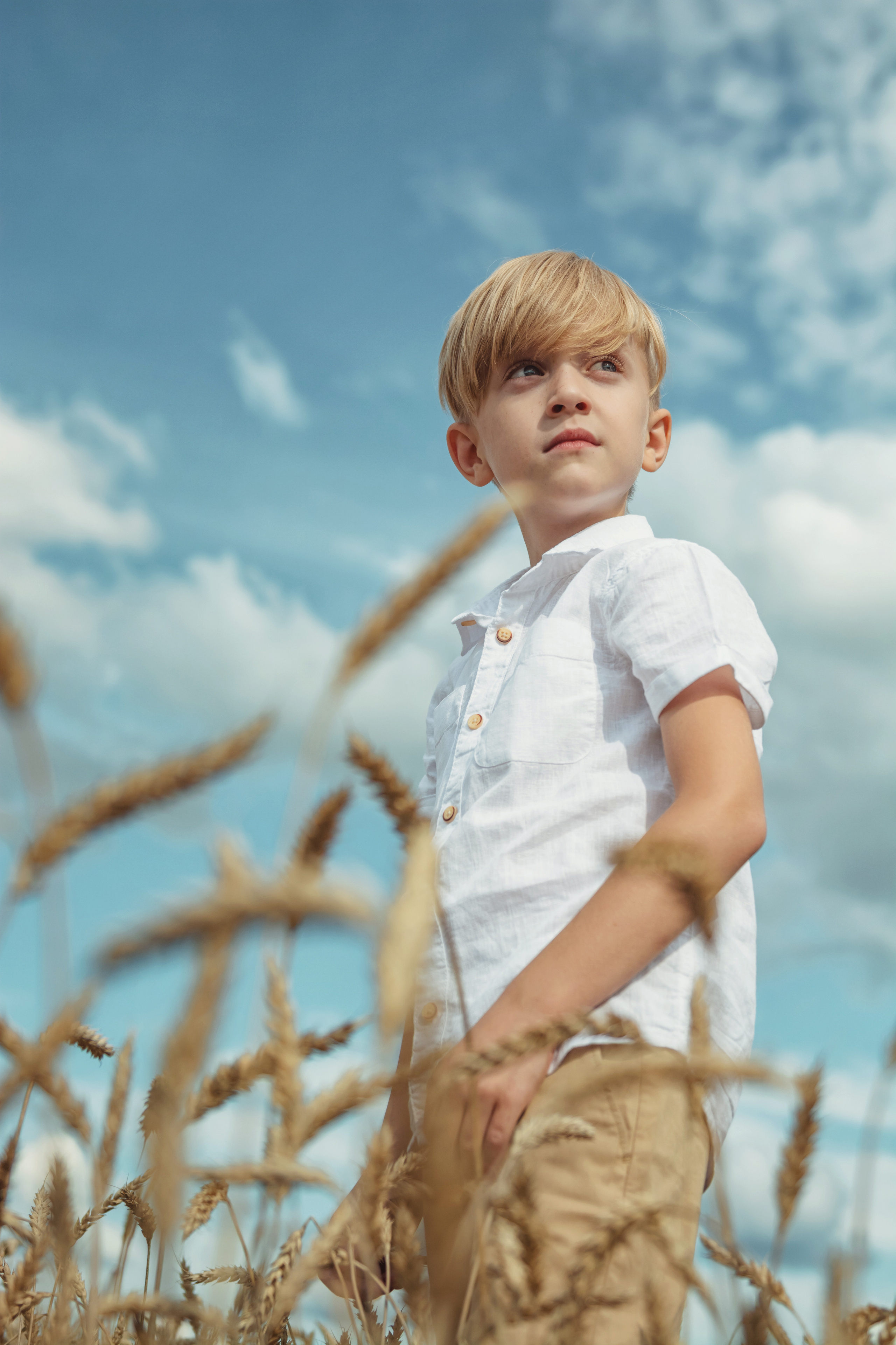 Анна и Александр. Семейная фотосессия в поле. Портретный фотограф в Санкт-Петербурге Дмитриева Наталия