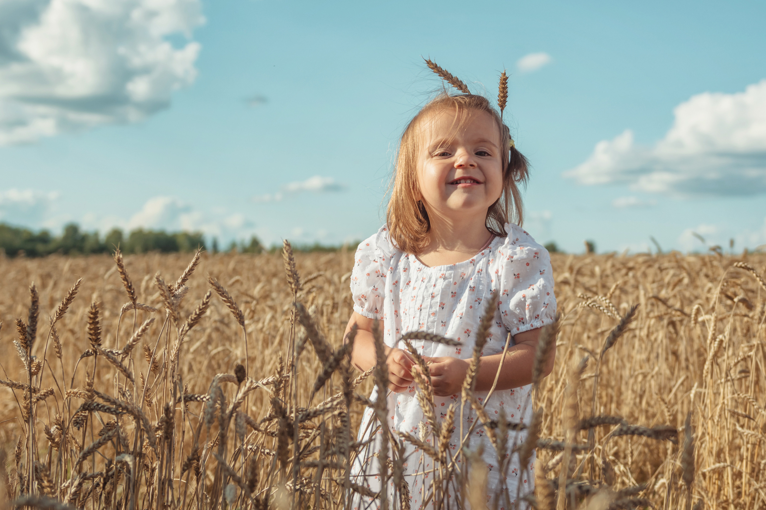 Анна и Александр. Семейная фотосессия в поле. Портретный фотограф в Санкт-Петербурге Дмитриева Наталия