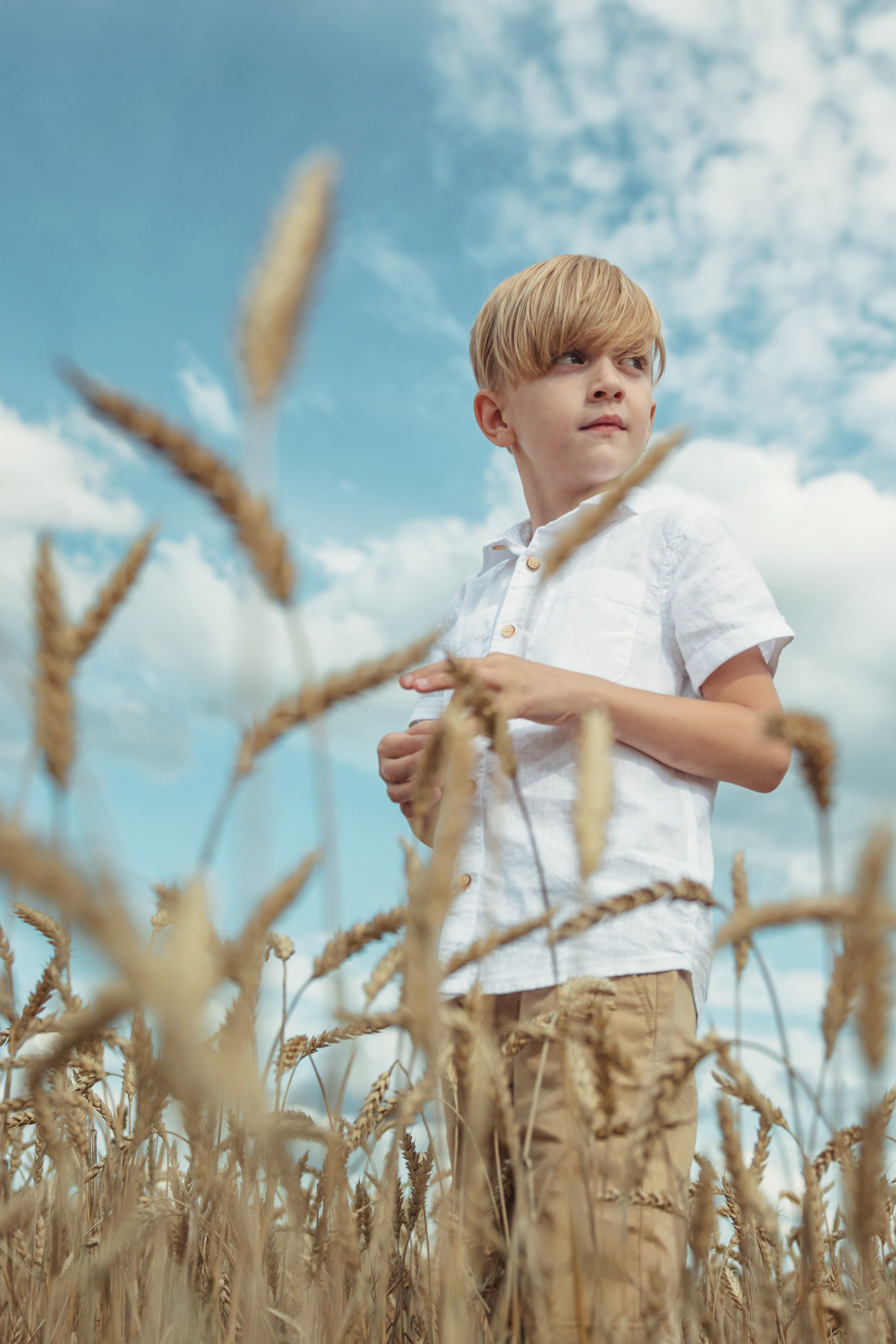 Анна и Александр. Семейная фотосессия в поле. Портретный фотограф в Санкт-Петербурге Дмитриева Наталия