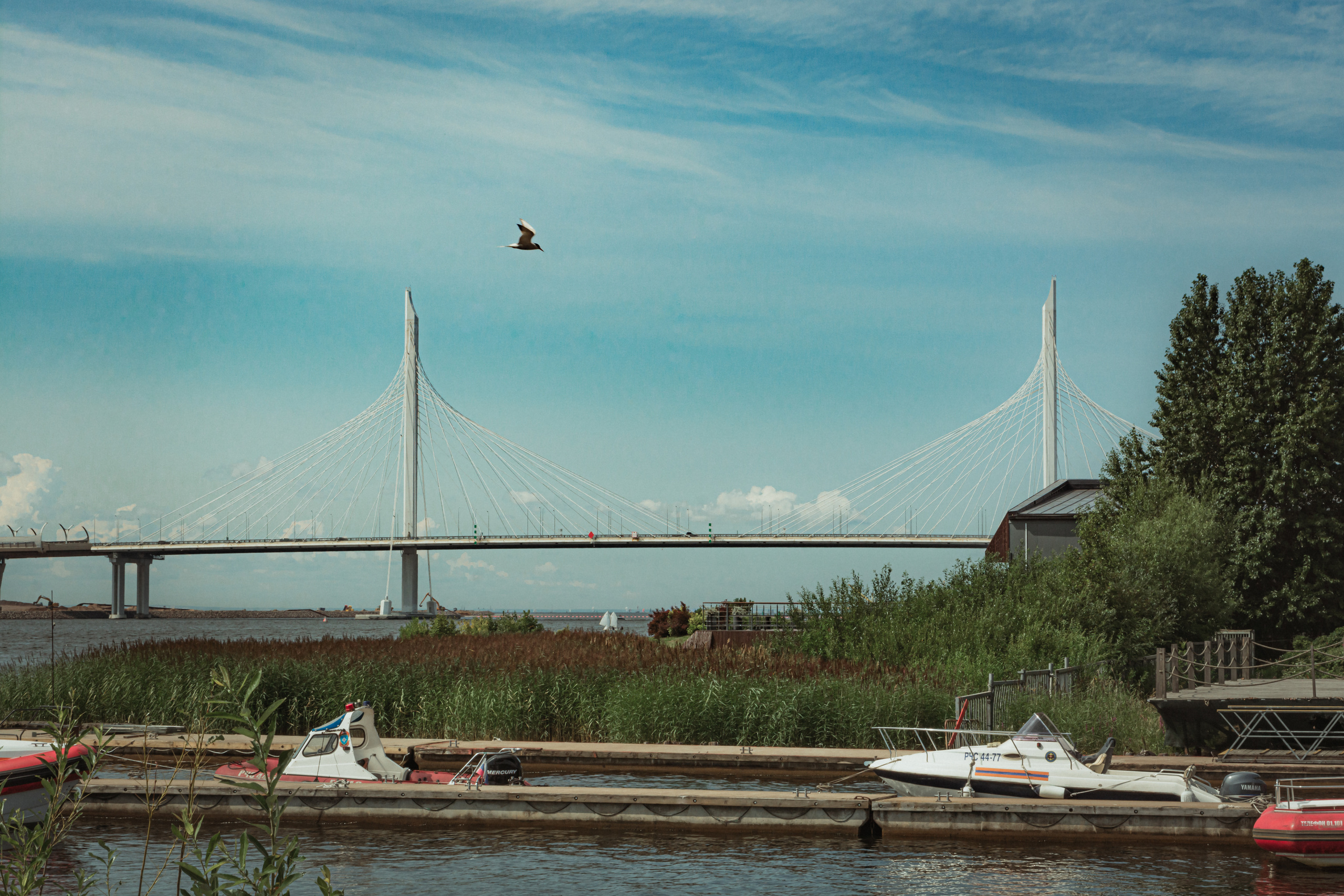 Светлана. Крестовский остров. Портретный фотограф в Санкт-Петербурге Дмитриева Наталия