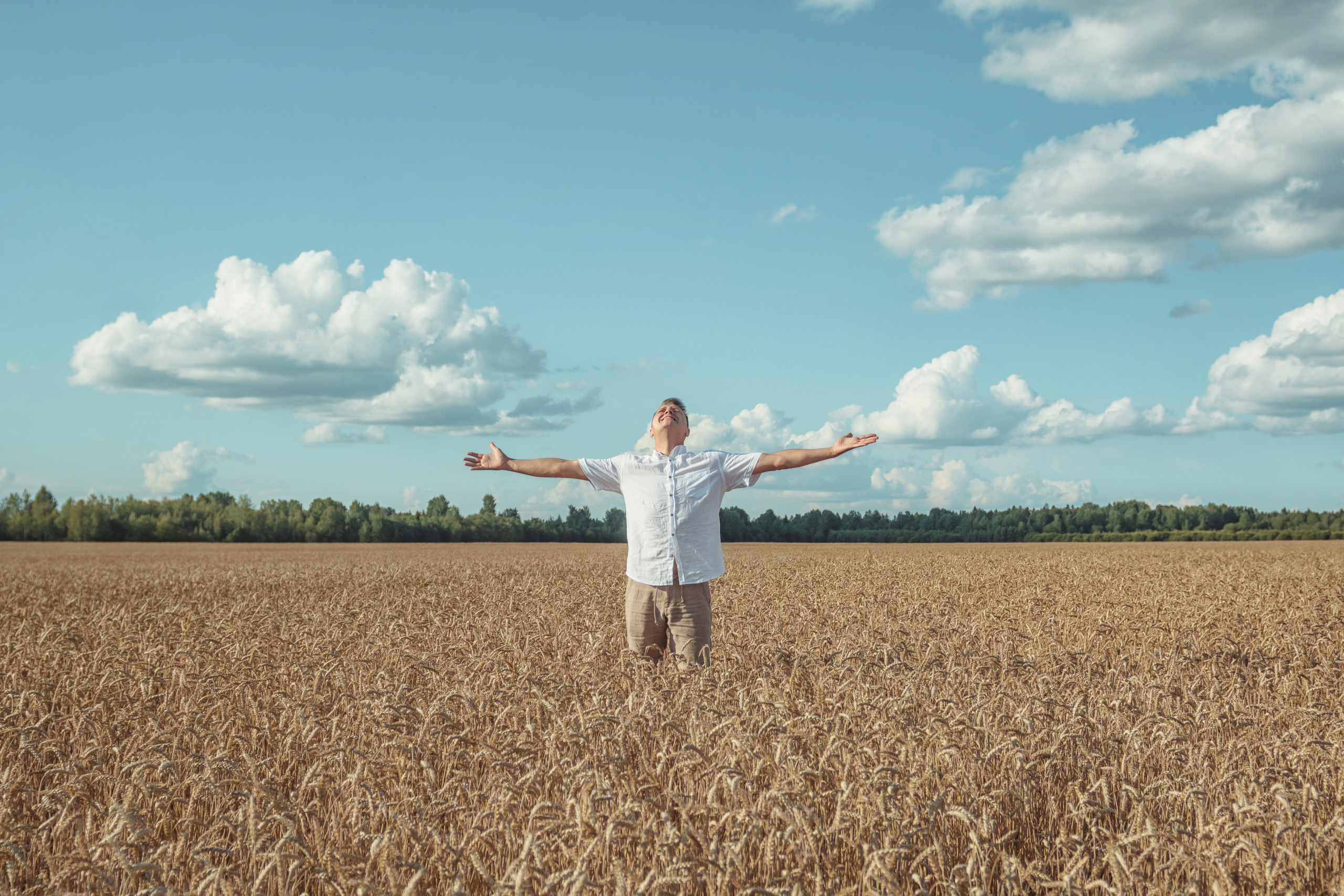 Анна и Александр. Семейная фотосессия в поле. Портретный фотограф в Санкт-Петербурге Дмитриева Наталия