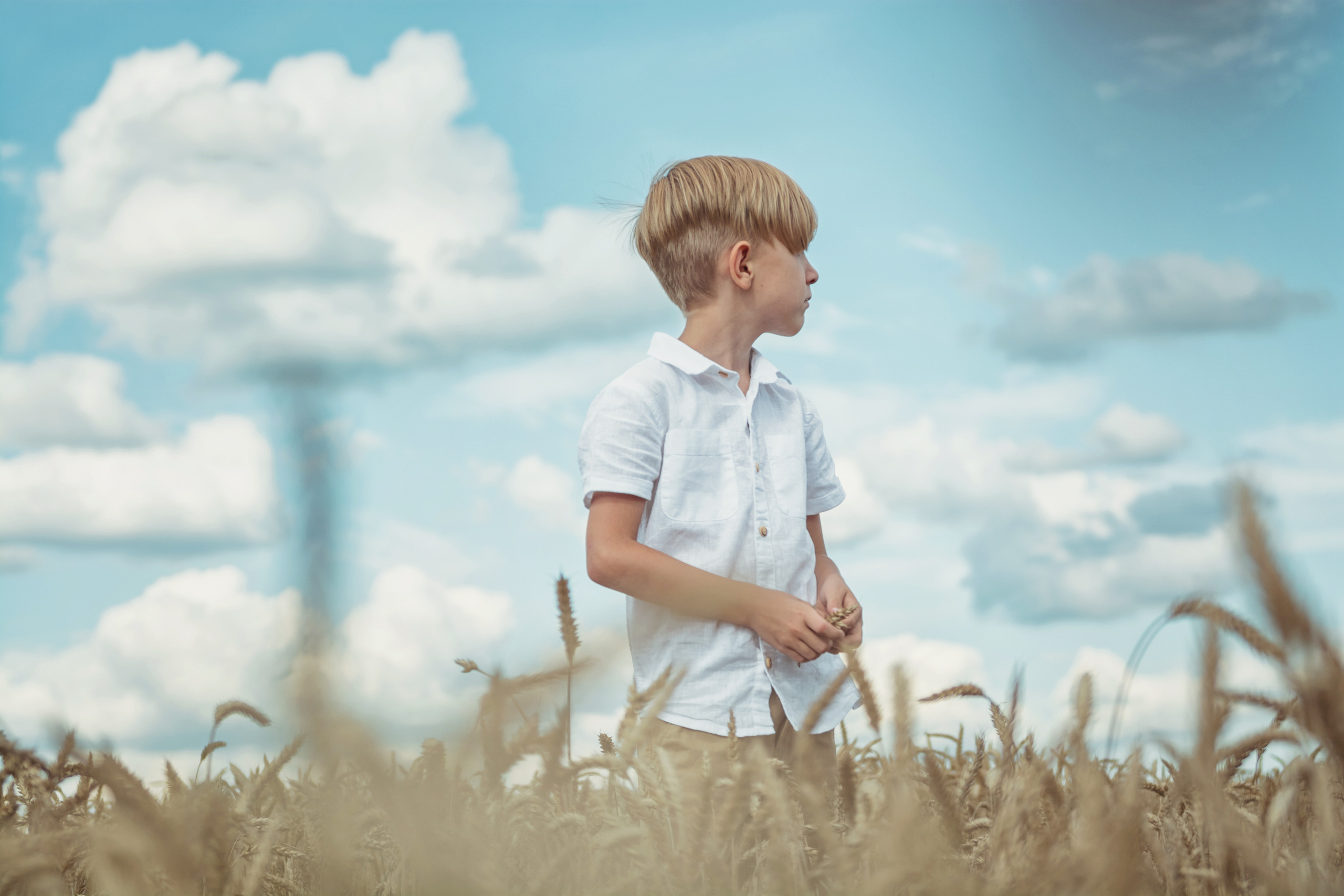 Анна и Александр. Семейная фотосессия в поле. Портретный фотограф в Санкт-Петербурге Дмитриева Наталия