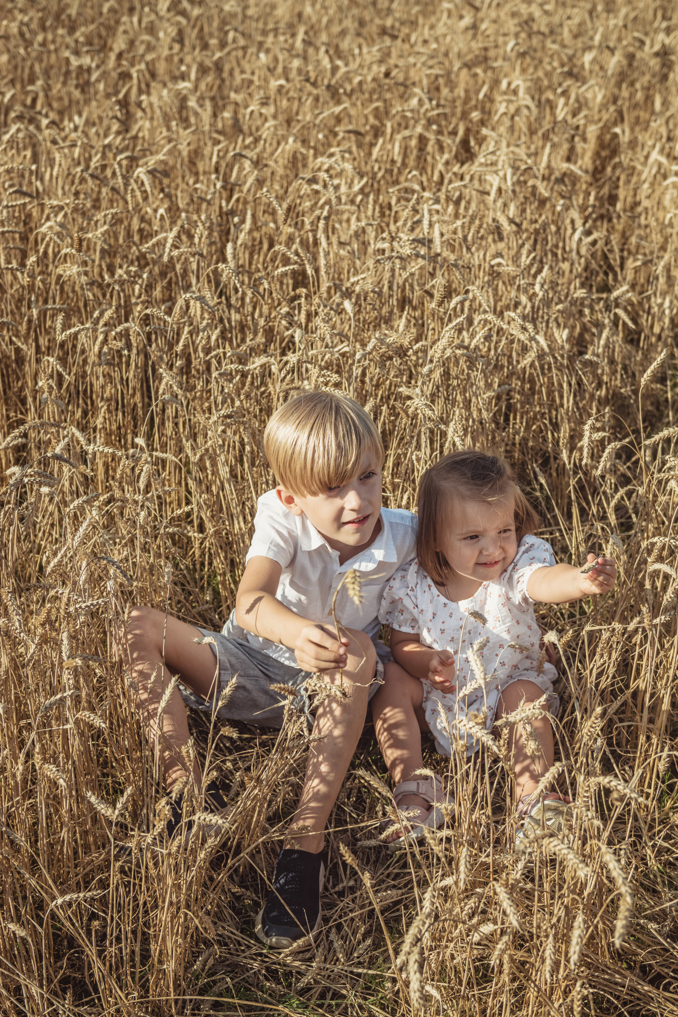 Анна и Александр. Семейная фотосессия в поле. Портретный фотограф в Санкт-Петербурге Дмитриева Наталия