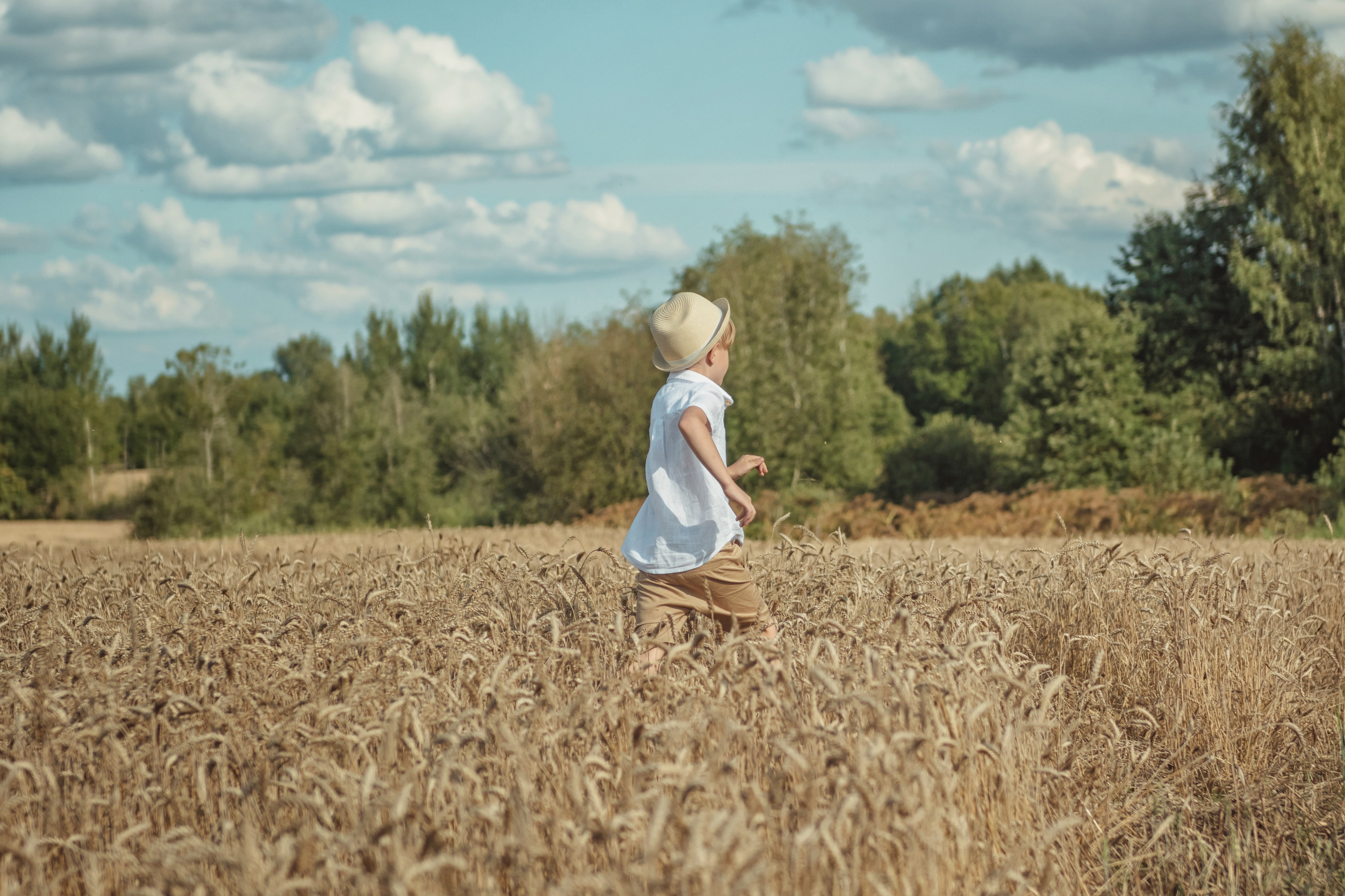 Анна и Александр. Семейная фотосессия в поле. Портретный фотограф в Санкт-Петербурге Дмитриева Наталия