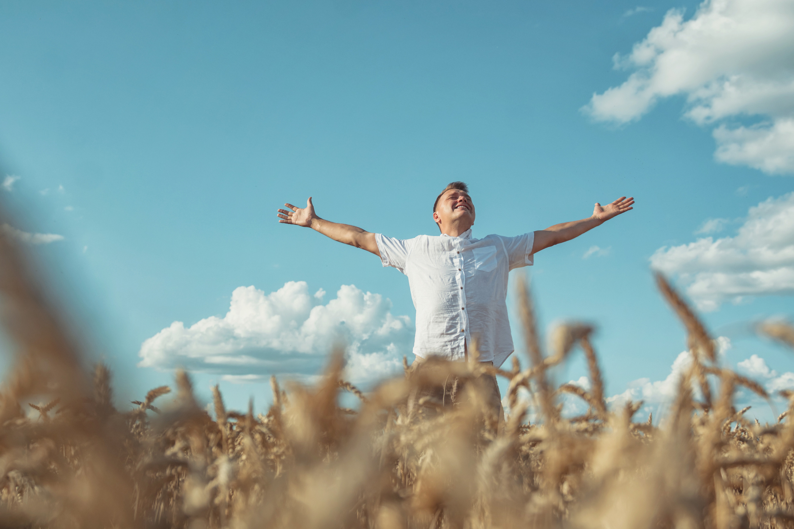 Анна и Александр. Семейная фотосессия в поле. Портретный фотограф в Санкт-Петербурге Дмитриева Наталия