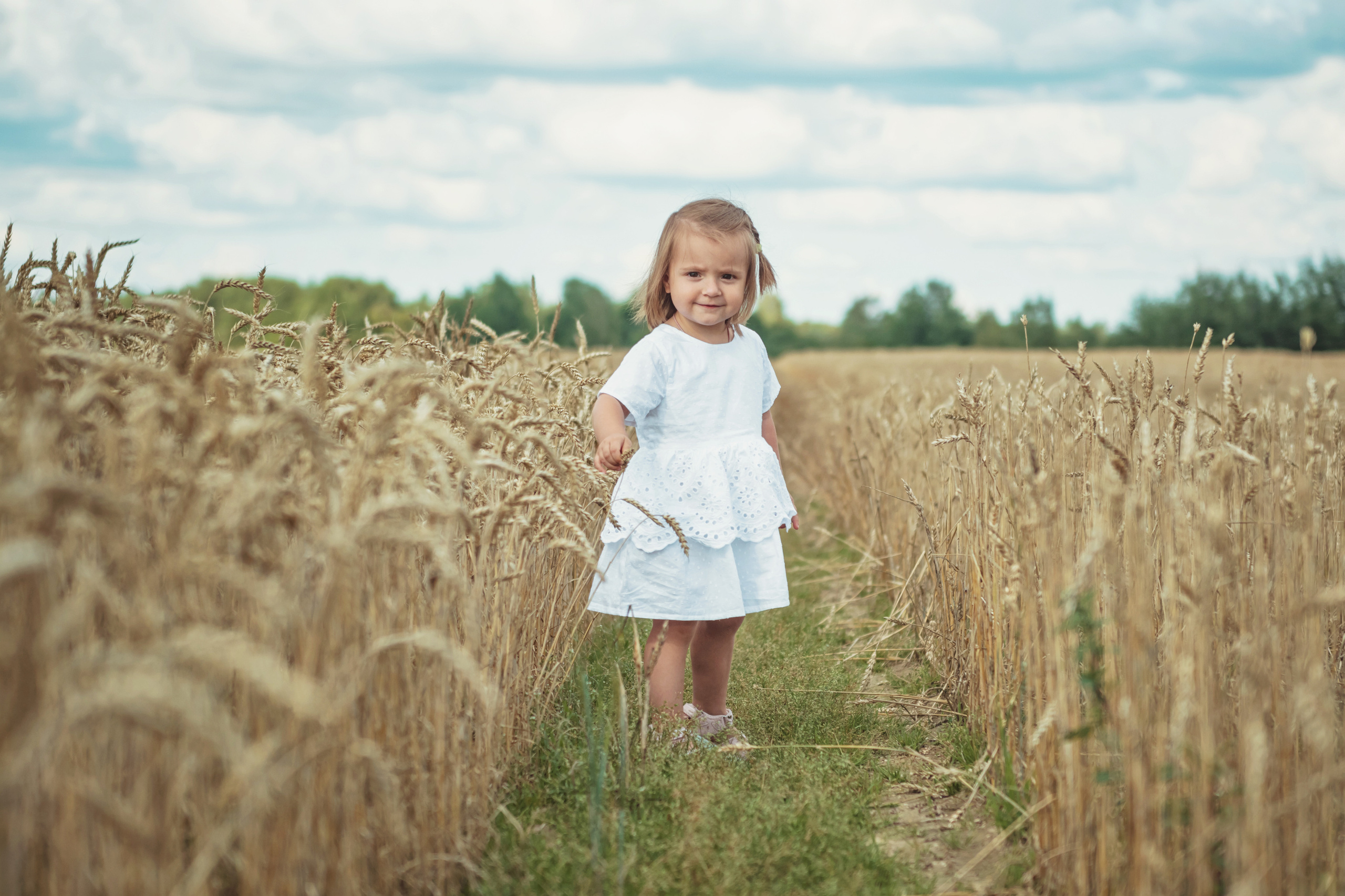 Анна и Александр. Семейная фотосессия в поле. Портретный фотограф в Санкт-Петербурге Дмитриева Наталия