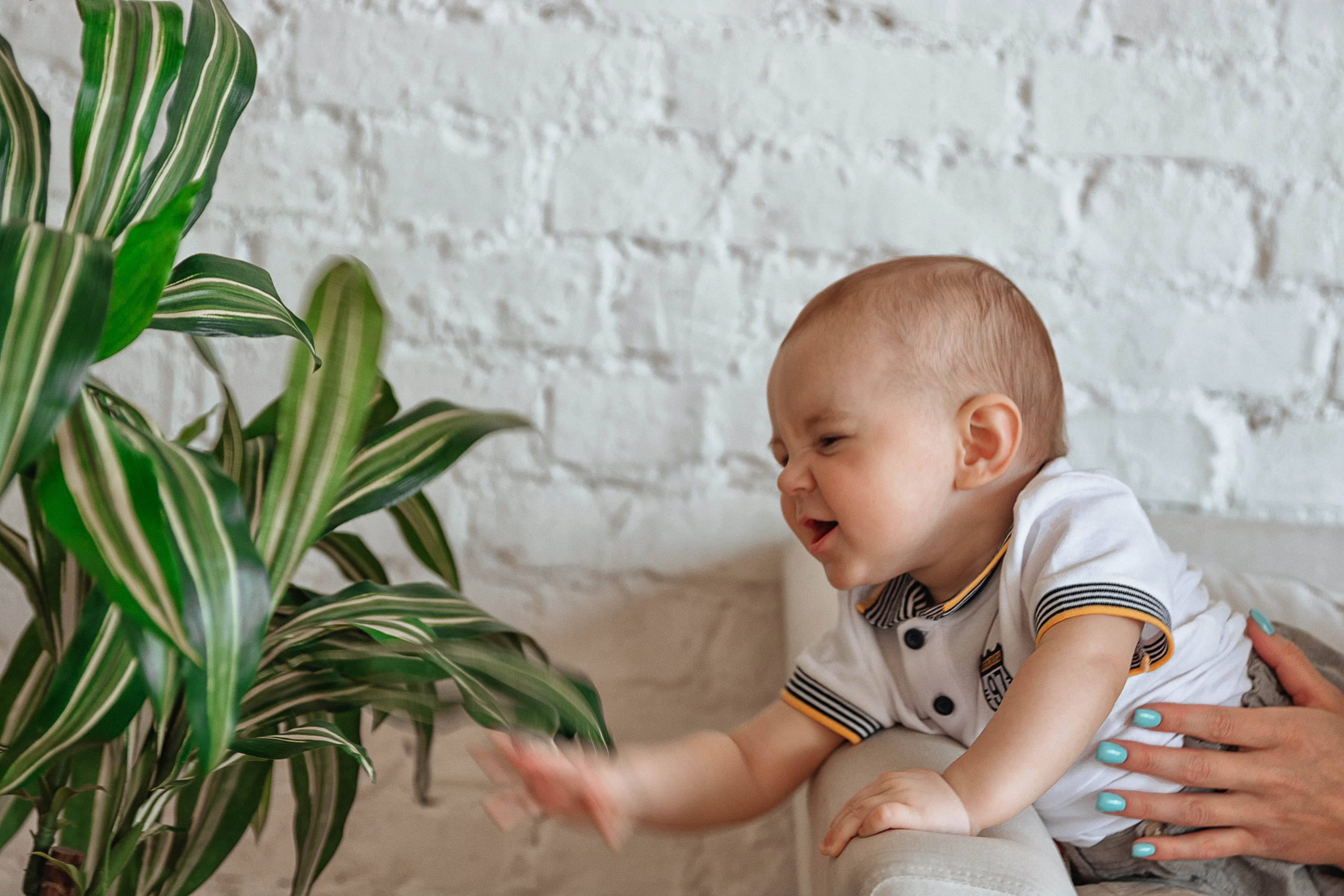 Семейная фотосессия для Анны. Портретный фотограф в Санкт-Петербурге Дмитриева Наталия