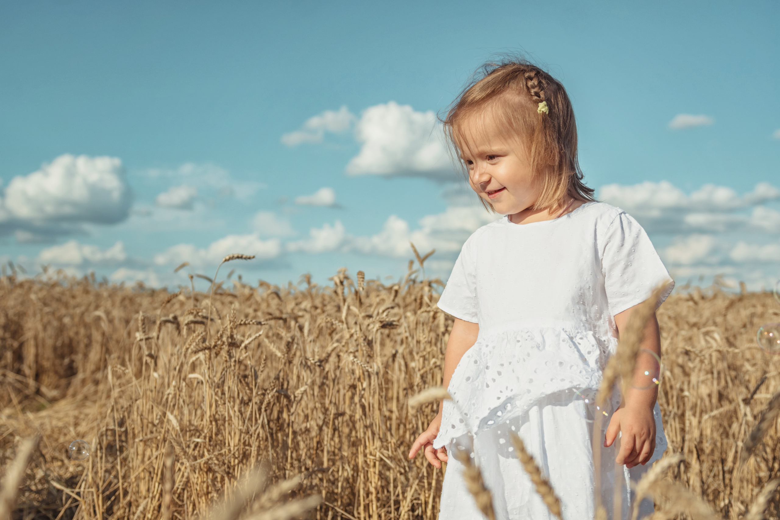 Анна и Александр. Семейная фотосессия в поле. Портретный фотограф в Санкт-Петербурге Дмитриева Наталия