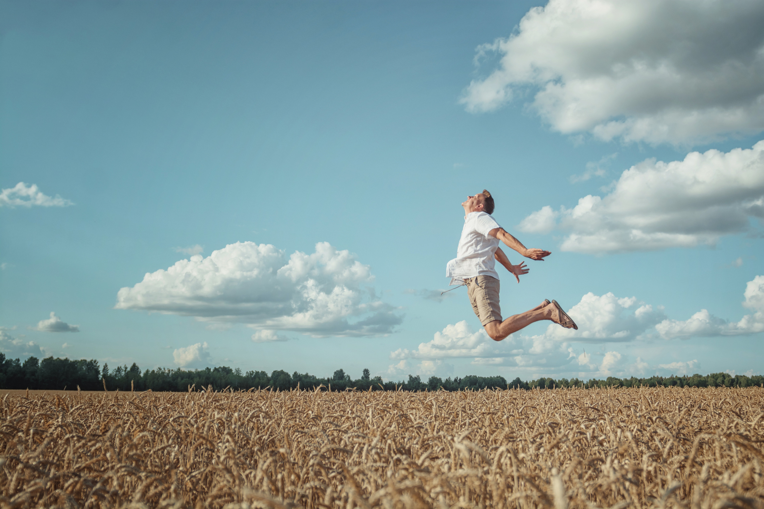 Анна и Александр. Семейная фотосессия в поле. Портретный фотограф в Санкт-Петербурге Дмитриева Наталия