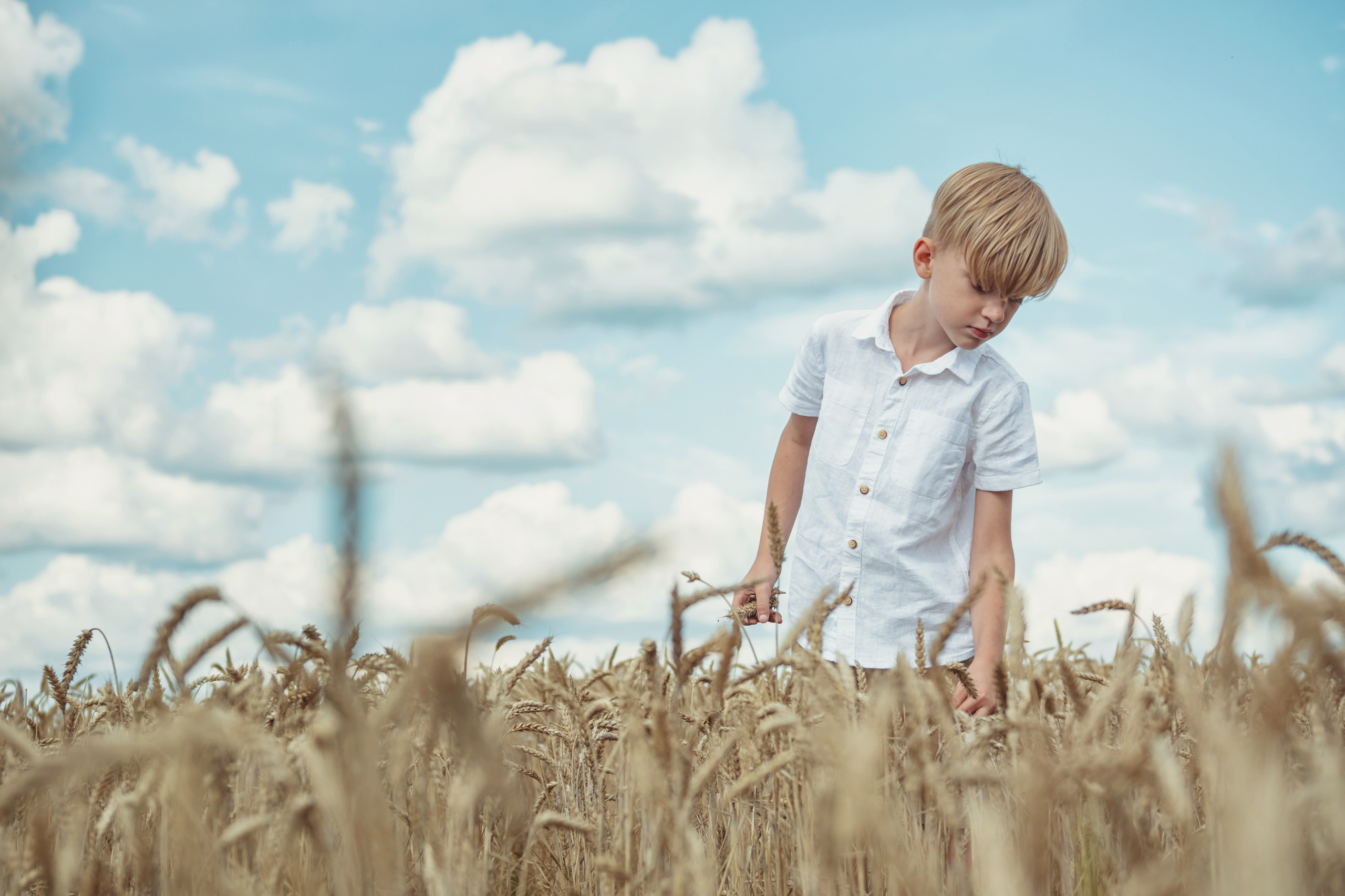 Анна и Александр. Семейная фотосессия в поле. Портретный фотограф в Санкт-Петербурге Дмитриева Наталия
