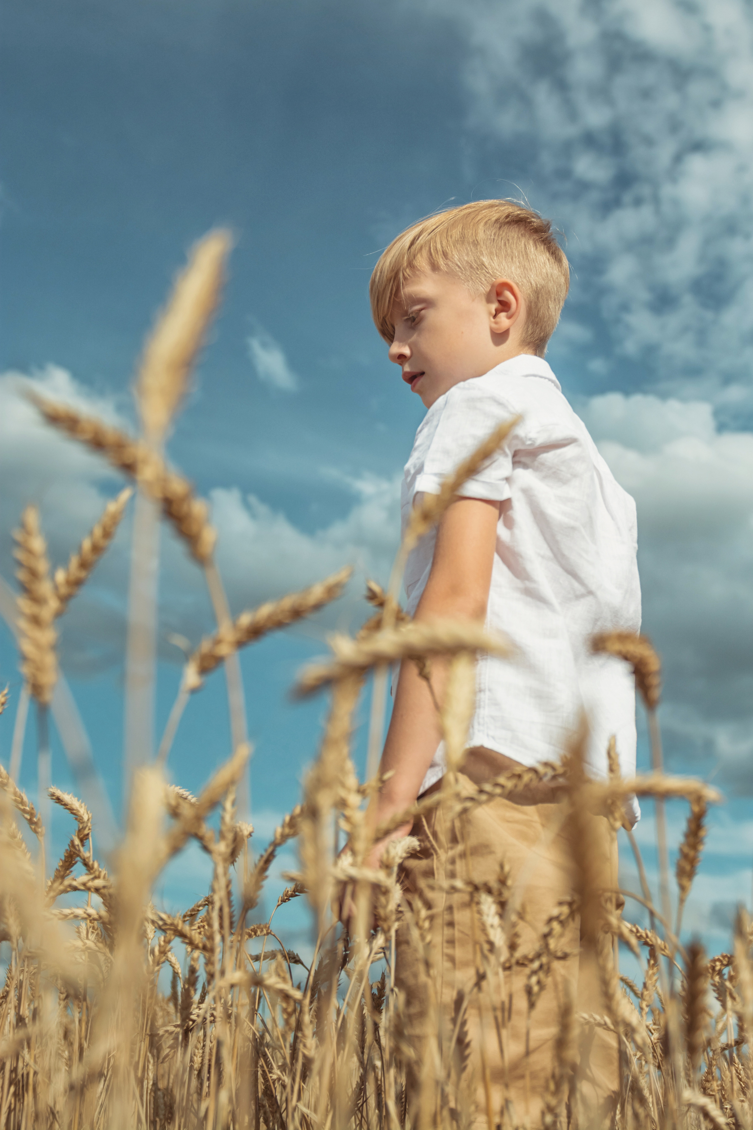 Анна и Александр. Семейная фотосессия в поле. Портретный фотограф в Санкт-Петербурге Дмитриева Наталия