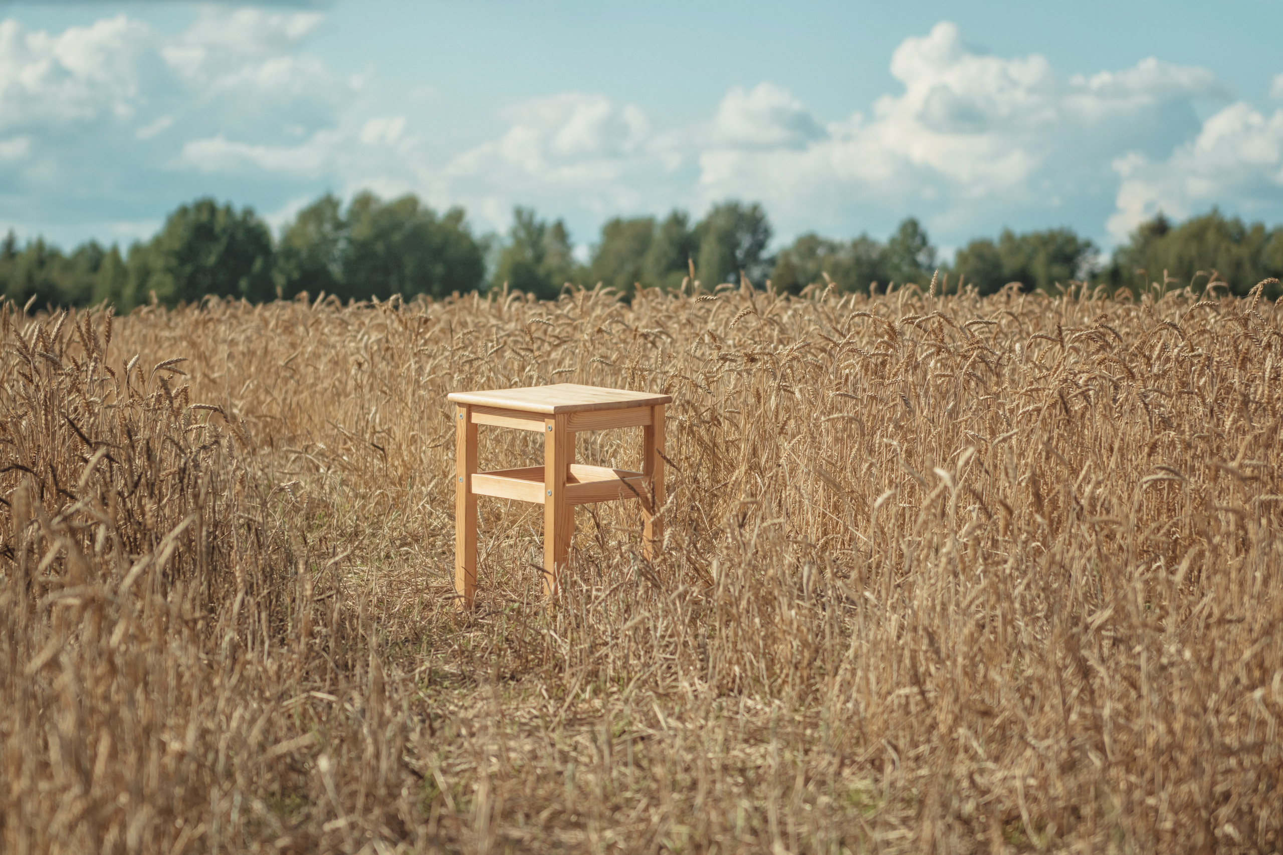 Анна и Александр. Семейная фотосессия в поле. Портретный фотограф в Санкт-Петербурге Дмитриева Наталия