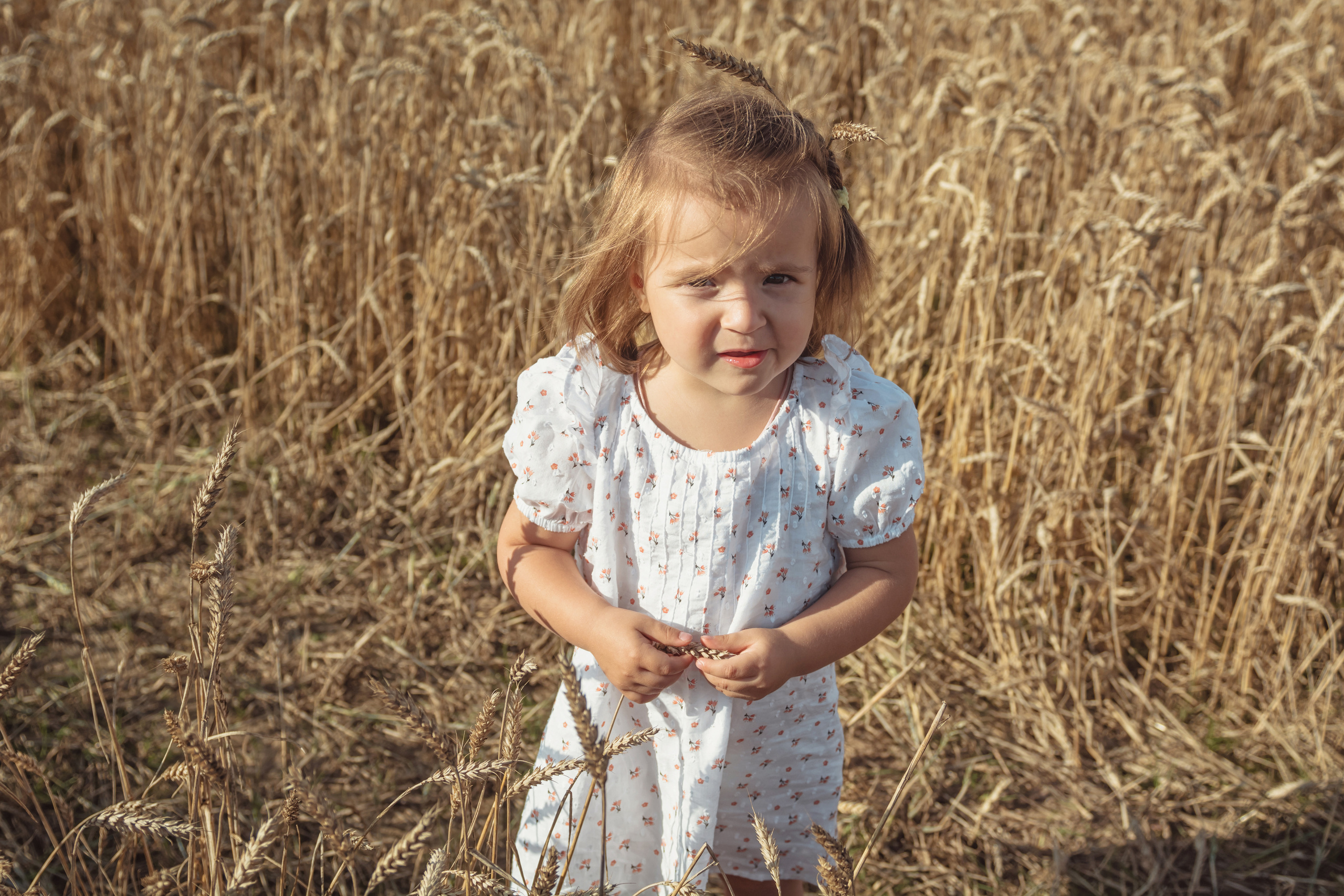 Анна и Александр. Семейная фотосессия в поле. Портретный фотограф в Санкт-Петербурге Дмитриева Наталия