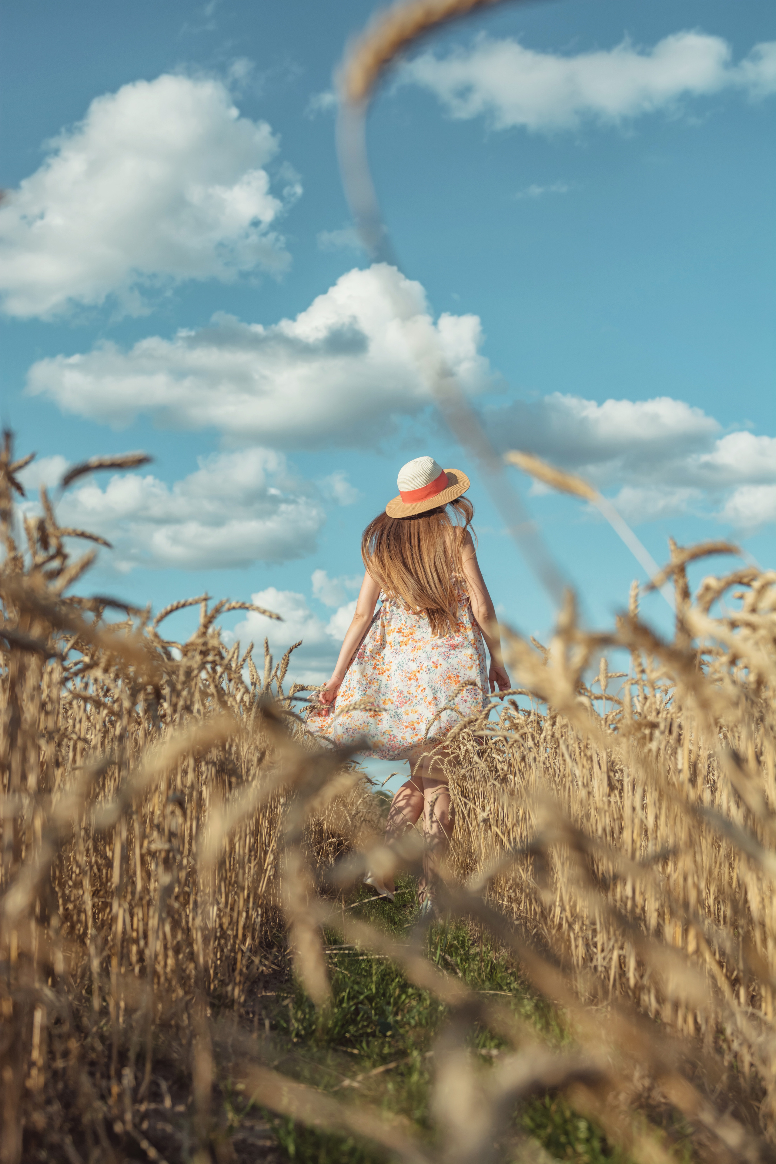 Анна и Александр. Семейная фотосессия в поле. Портретный фотограф в Санкт-Петербурге Дмитриева Наталия