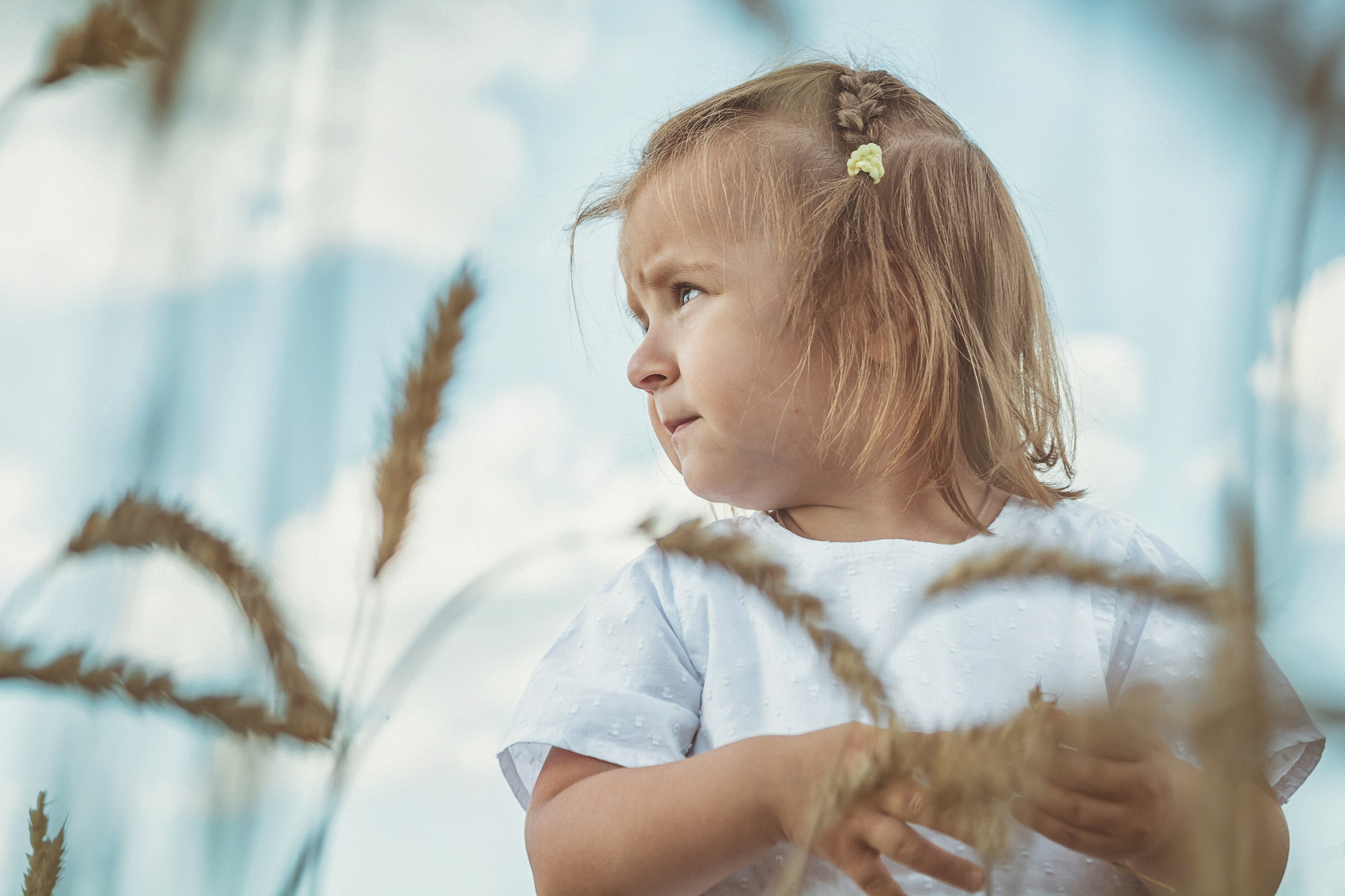 Анна и Александр. Семейная фотосессия в поле. Портретный фотограф в Санкт-Петербурге Дмитриева Наталия