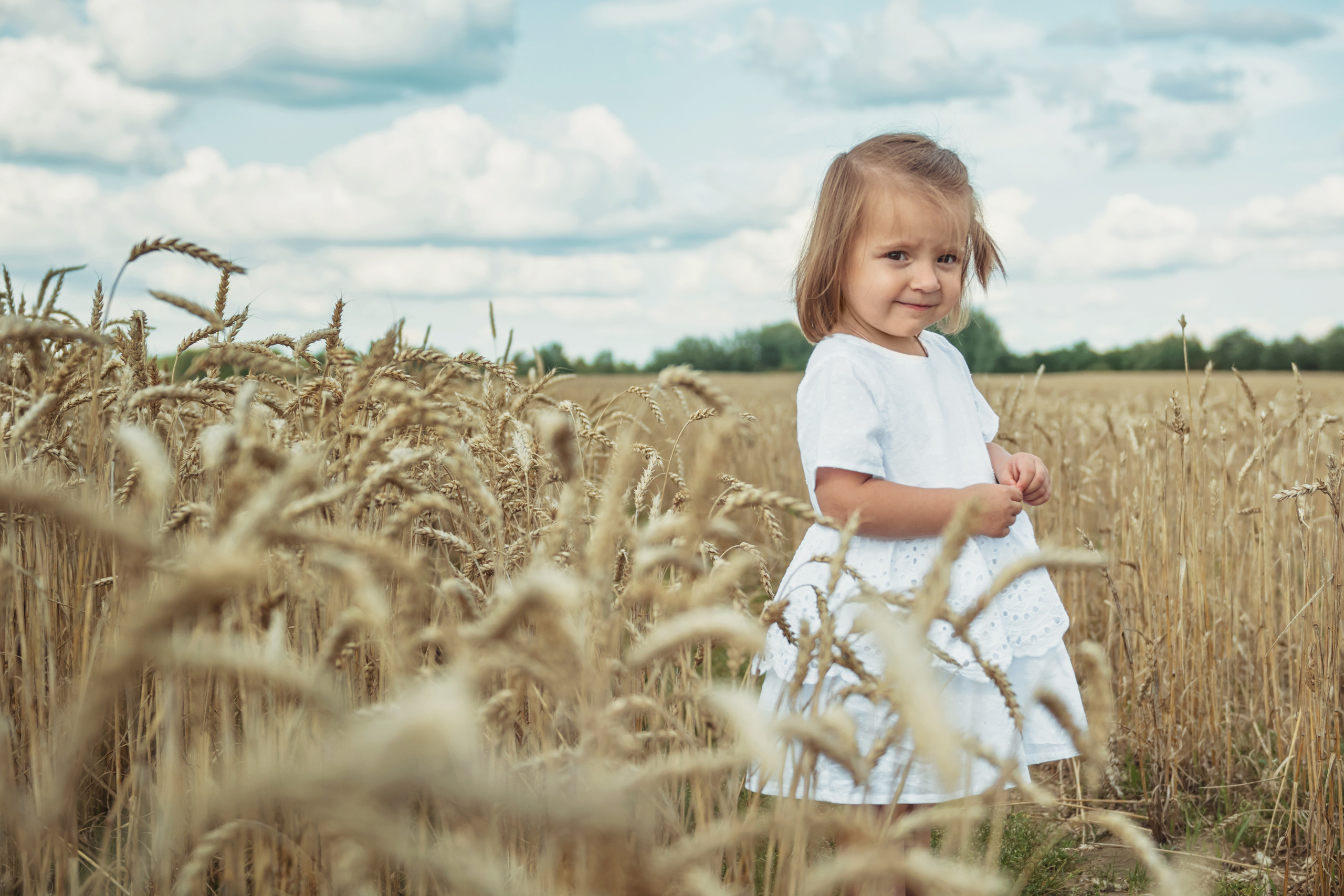 Анна и Александр. Семейная фотосессия в поле. Портретный фотограф в Санкт-Петербурге Дмитриева Наталия