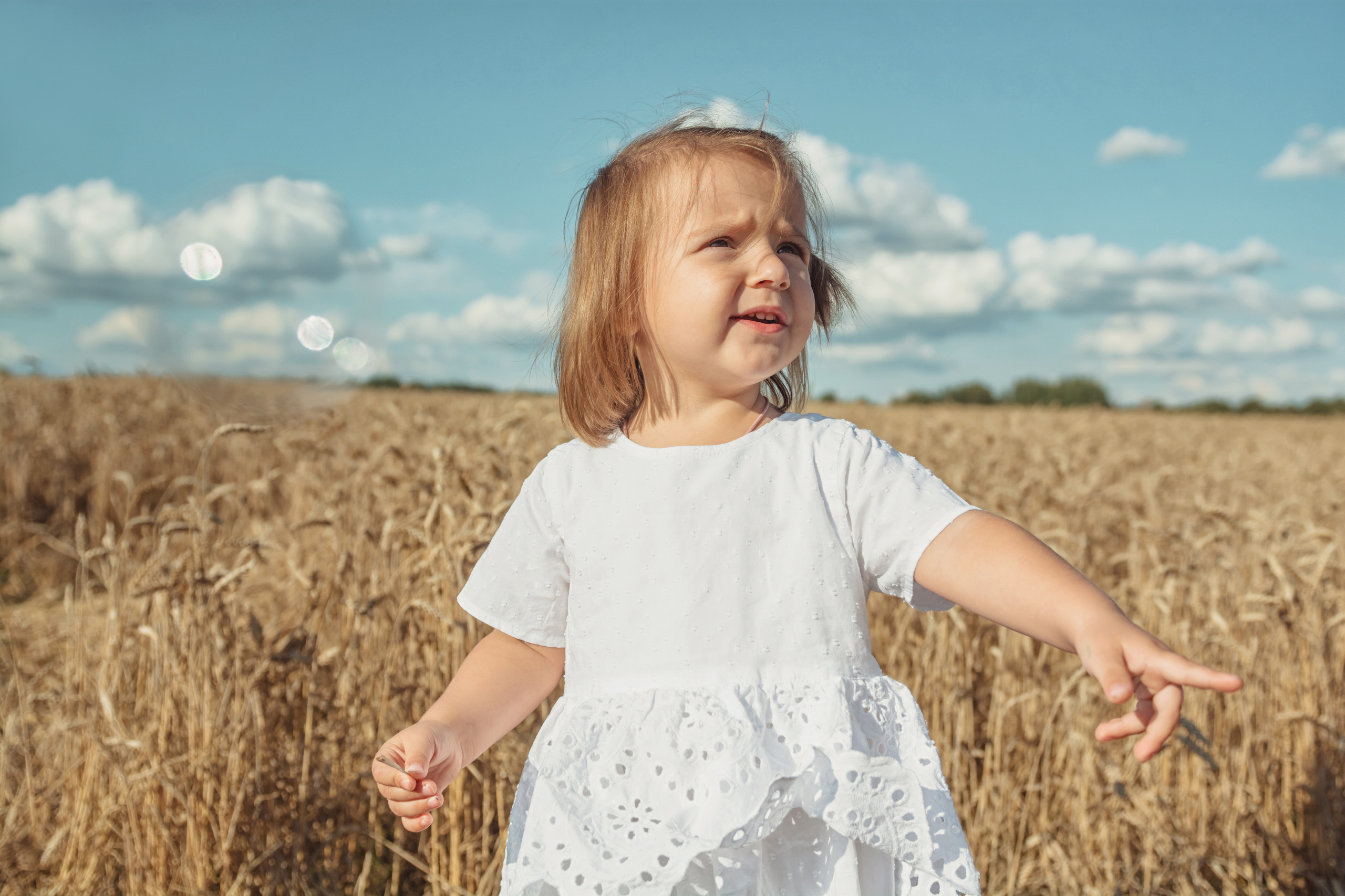 Анна и Александр. Семейная фотосессия в поле. Портретный фотограф в Санкт-Петербурге Дмитриева Наталия