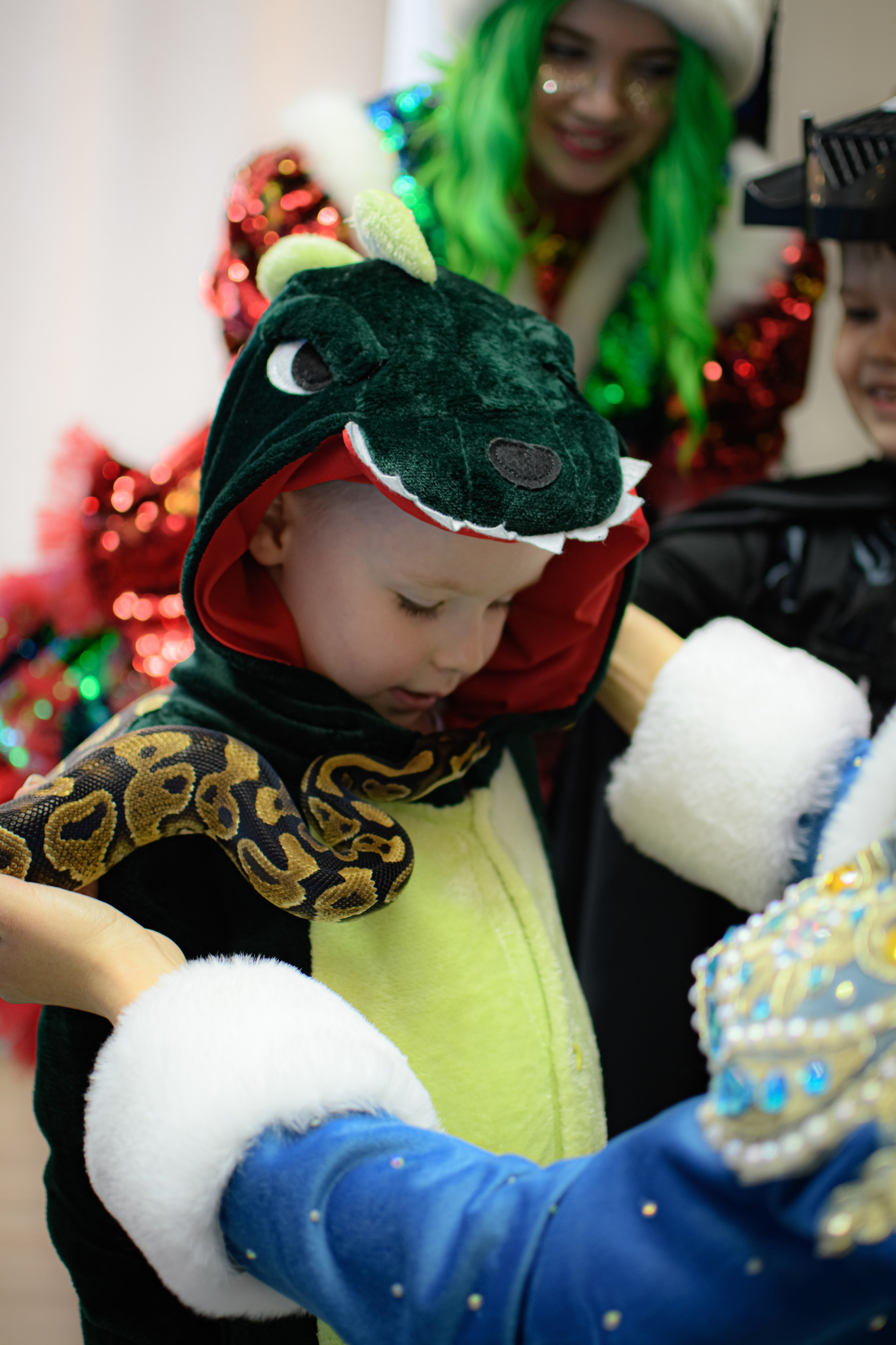 HAPPY NEW YEAR. Photokarish