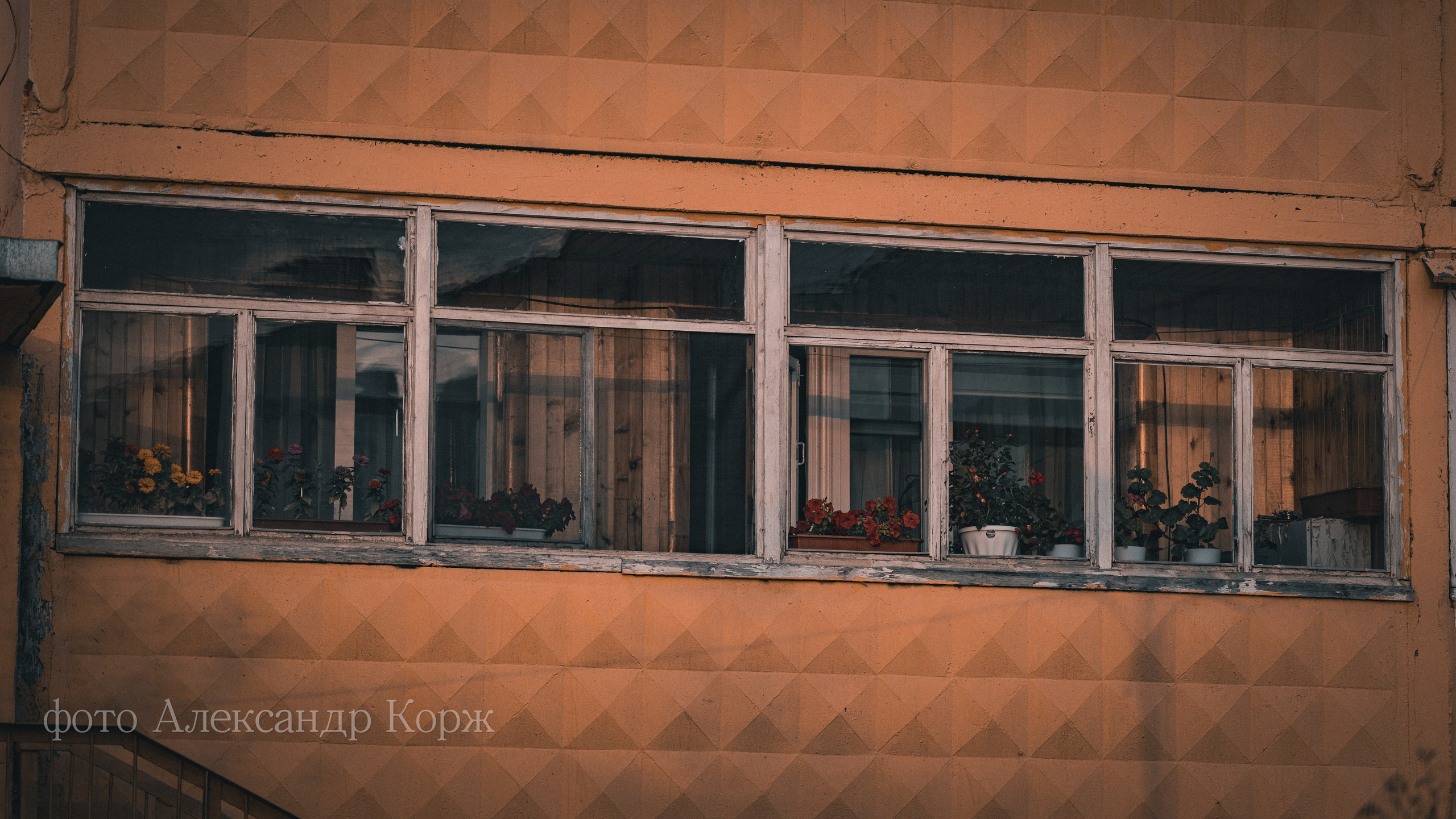 Золотая осень 2025. Айхал. Удачный. Мирный Якутия. Фотографии и видеосъемка, Айхал, Удачный, Якутия. Фотографии Айхал