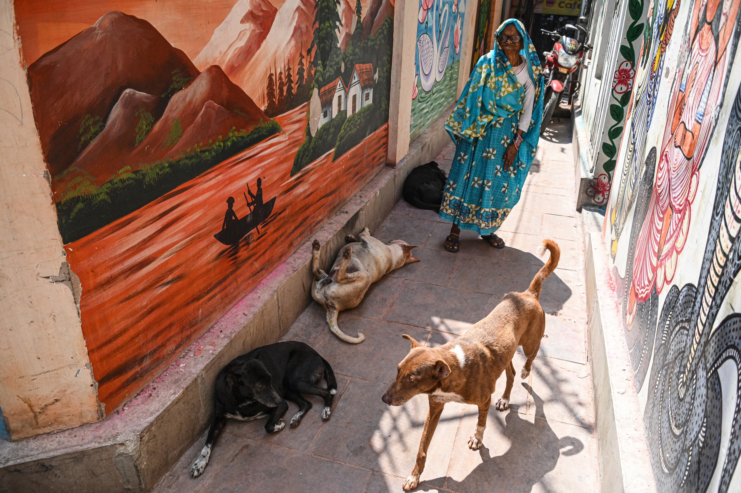 Невероятная Индия. Игорь Иванко — Репортажный и событийный фотограф. Москва
