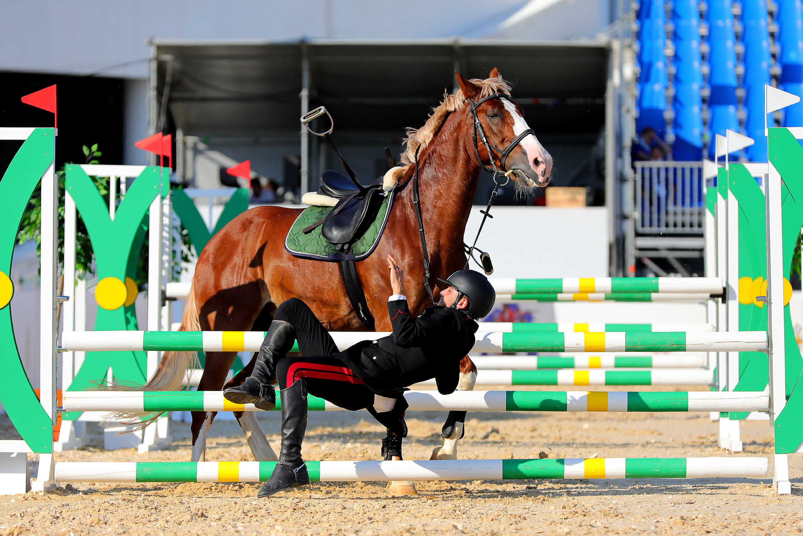 Photographing equestrian sports, equestrian sports, show jumping, hors. Reportage photographer in Nizhny Novgorod and Moscow angelina Ilyichev